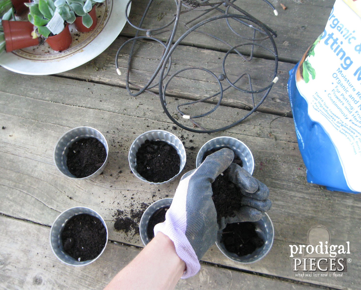 Filling Repurposed Jelly Molds with Succulents and Soil | Prodigal Pieces | www.prodigalpieces.com