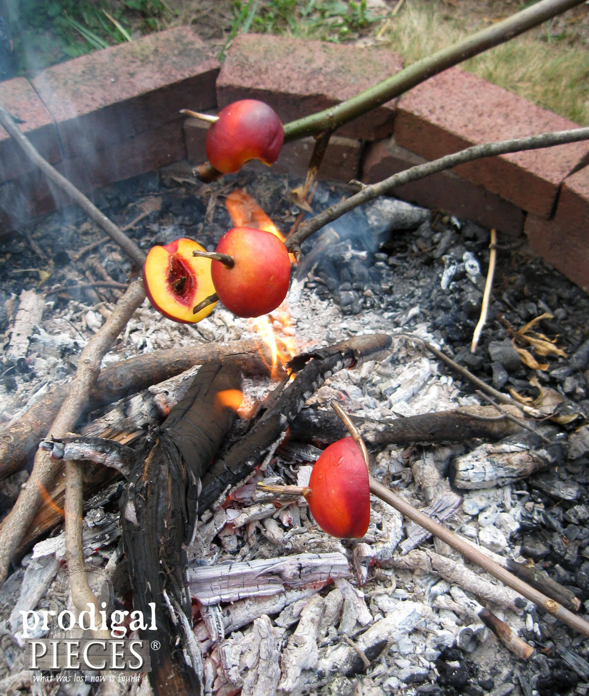 Campfire Roasting Stone Fruits for S'mores Replacement | Prodigal Pieces | www.prodigalpieces.com