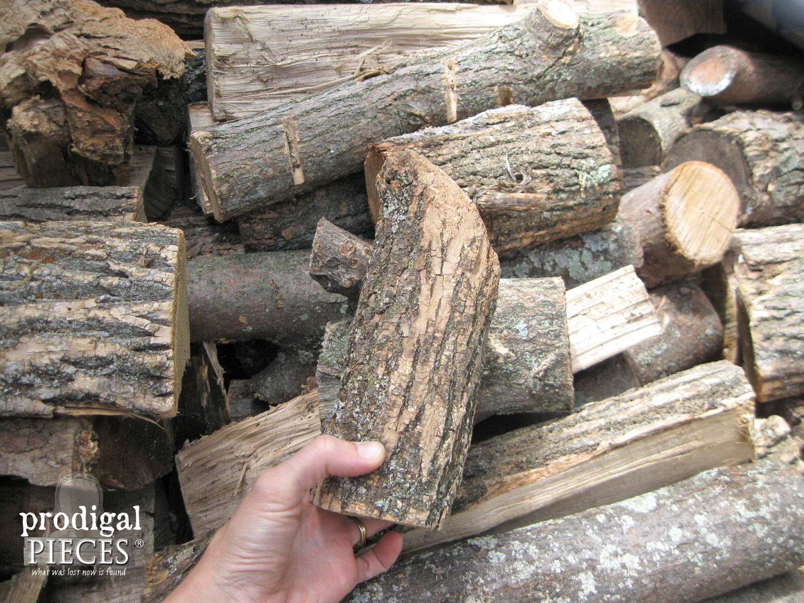 Choosing Wood for DIY Log Candlesticks | Prodigal Pieces | www.prodigalpieces.com