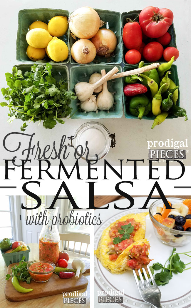 Fresh or Fermented Garden Salsa with Probiotics by Prodigal Pieces | www.prodigalpieces.com