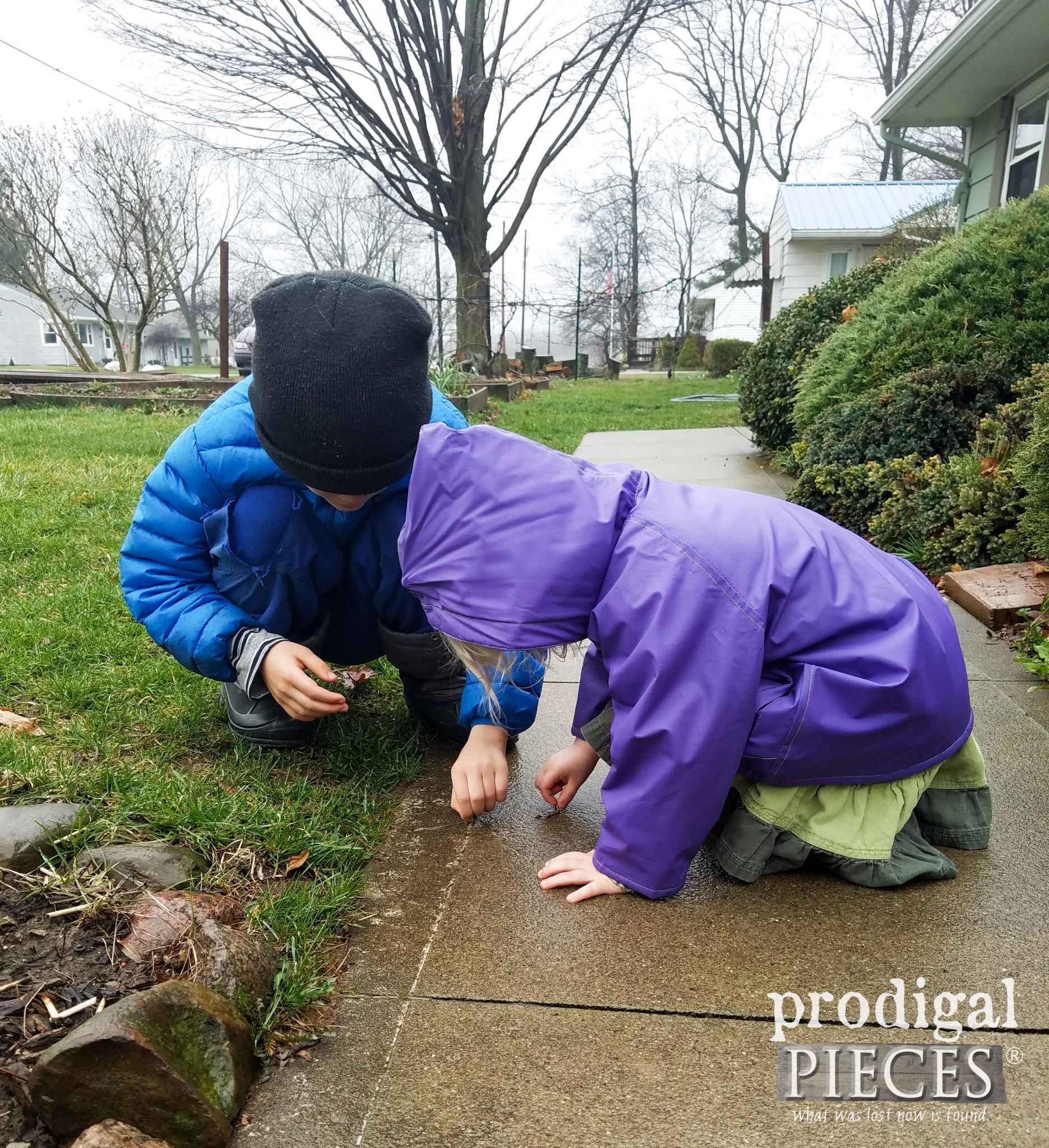 Early Morning Worm Rescue ~ Homeschooling Rocks | prodigalpieces.com