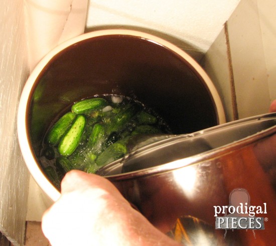 Adding Water to Crock Dill Pickles by Prodigal Pieces | prodigalpieces.com #prodigalpieces