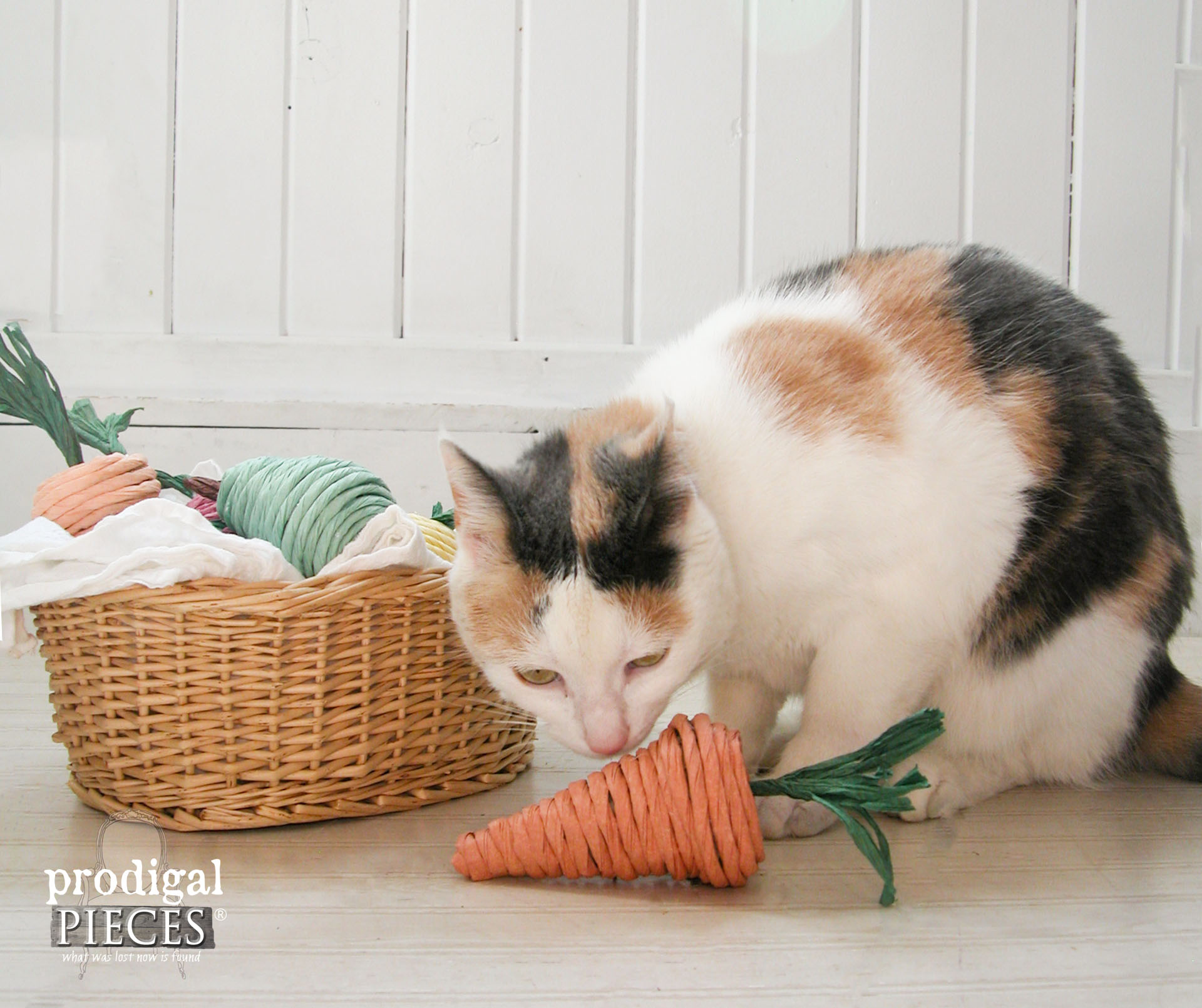 Calico Cat Playing with DIY Natural Cat Toys -Tutorial Included! | Prodigal Pieces | www.prodigalpieces.com