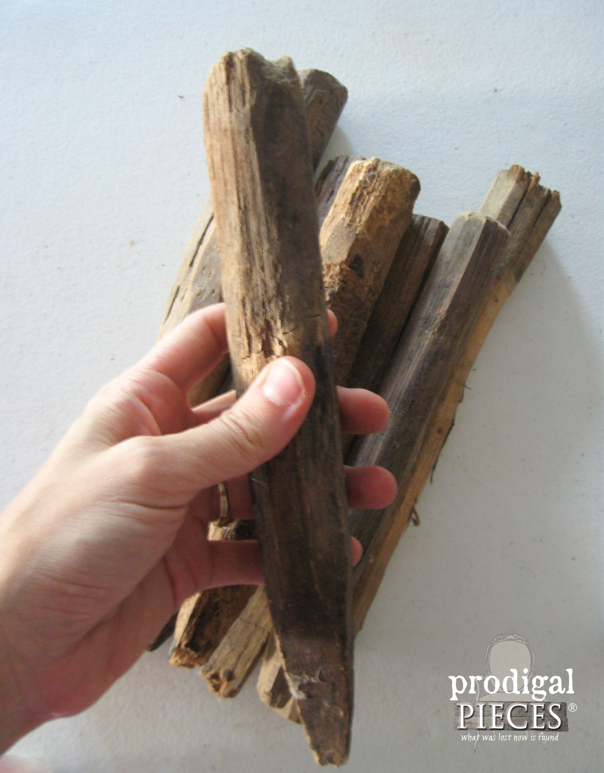 Collection of Antique Barn Beam Pegs | Prodigal Pieces | www.prodigalpieces.com