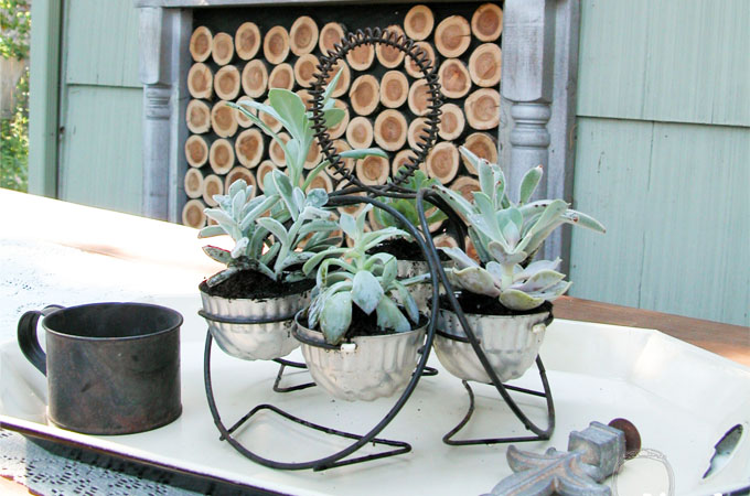 Featured Repurposed Succulent Planter by Prodigal Pieces | www.prodigalpieces.com