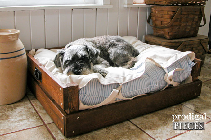 Featured DIY Pet Bed by Prodigal Pieces | www.prodigalpieces.com