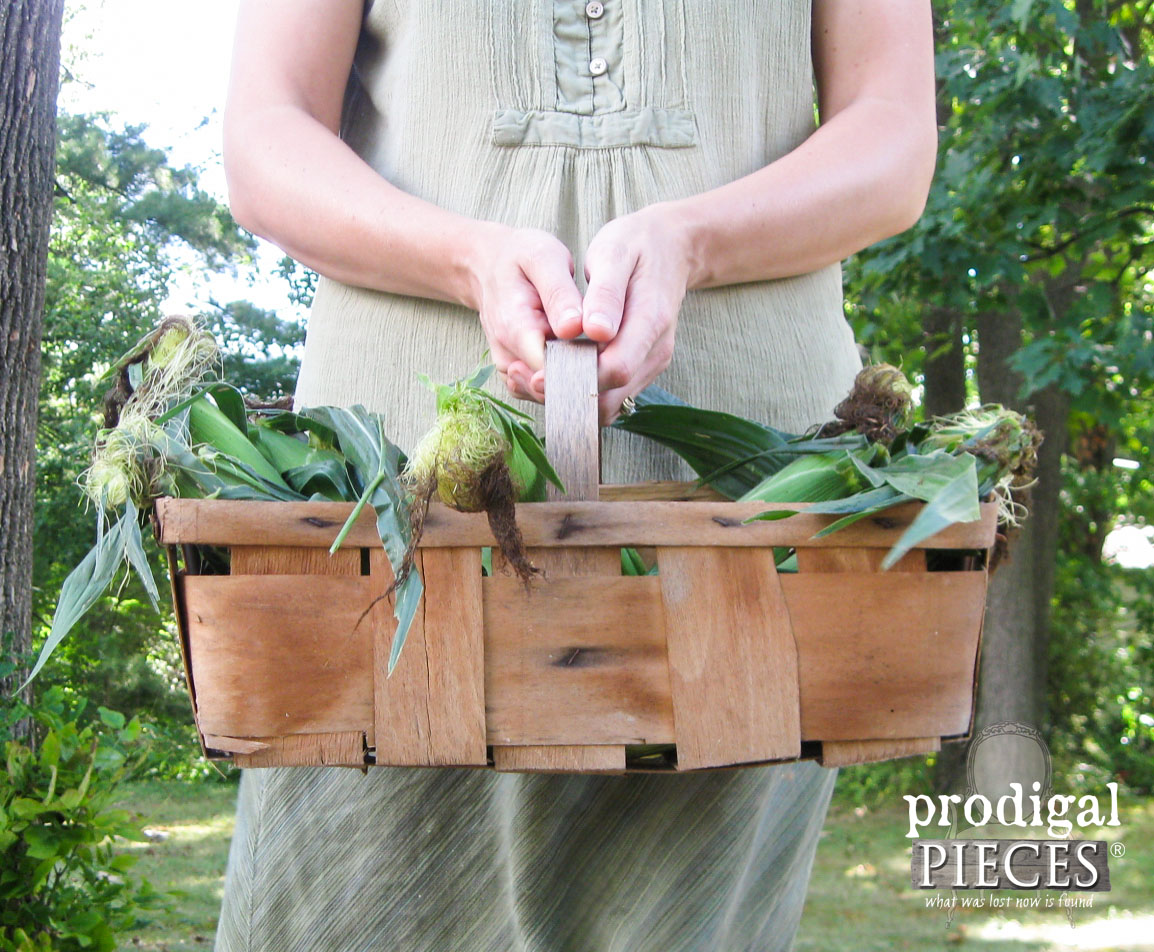 Basket of Sweet Corn for Crafting by Prodigal Pieces | www.prodigalpieces.com