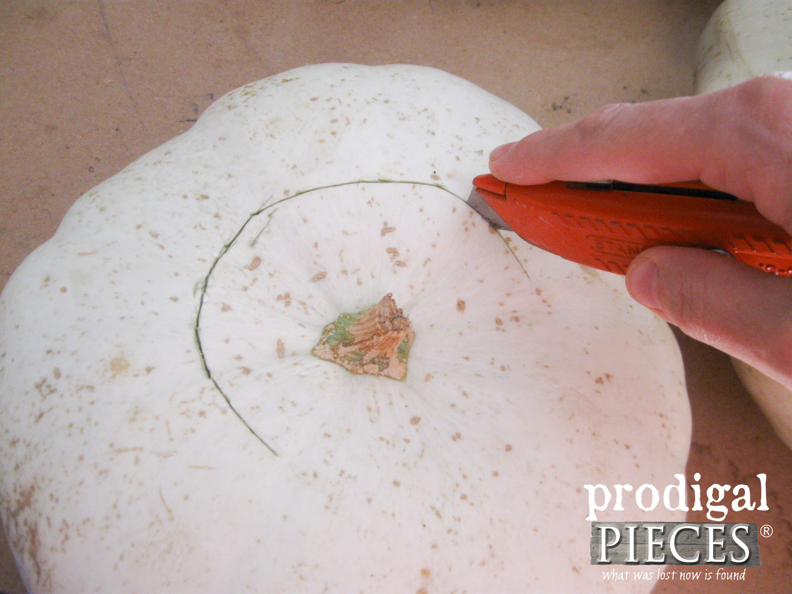 Cutting Pumpkin for Thanksgiving Centerpiece | Prodigal Pieces | prodigalpieces.com