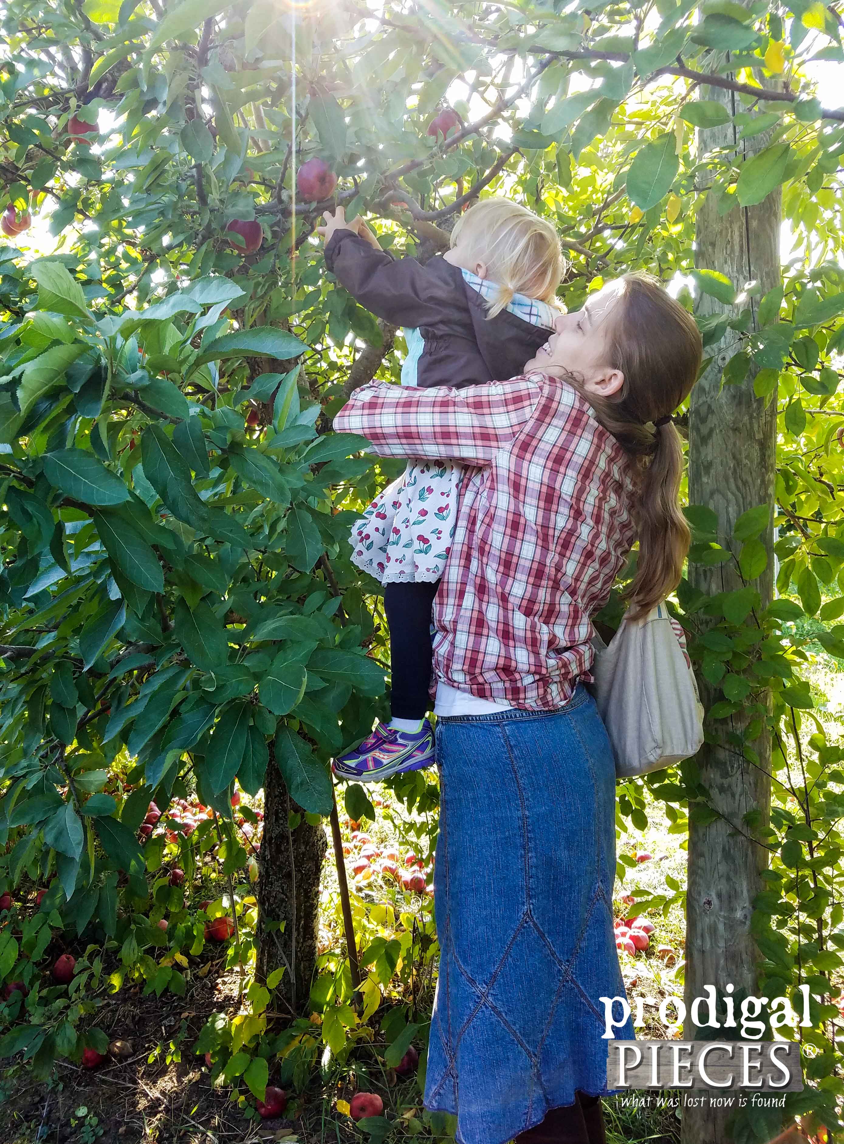 Mama and Toddler Apple Picking | Soda Crate Stand by Prodigal Pieces | prodigalpieces.com