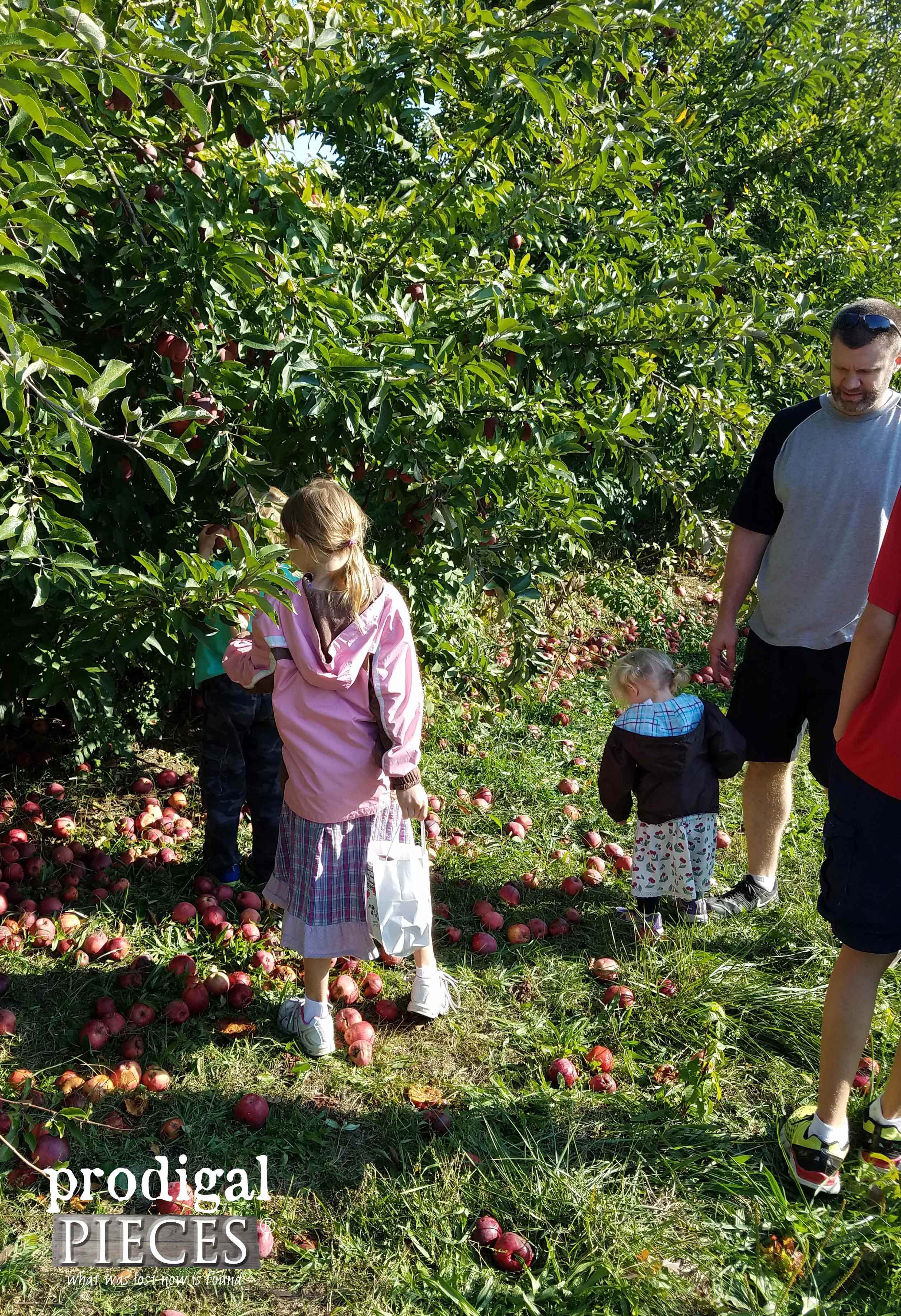 Apple Picking with Family | Prodigal Pieces | prodigalpieces.com