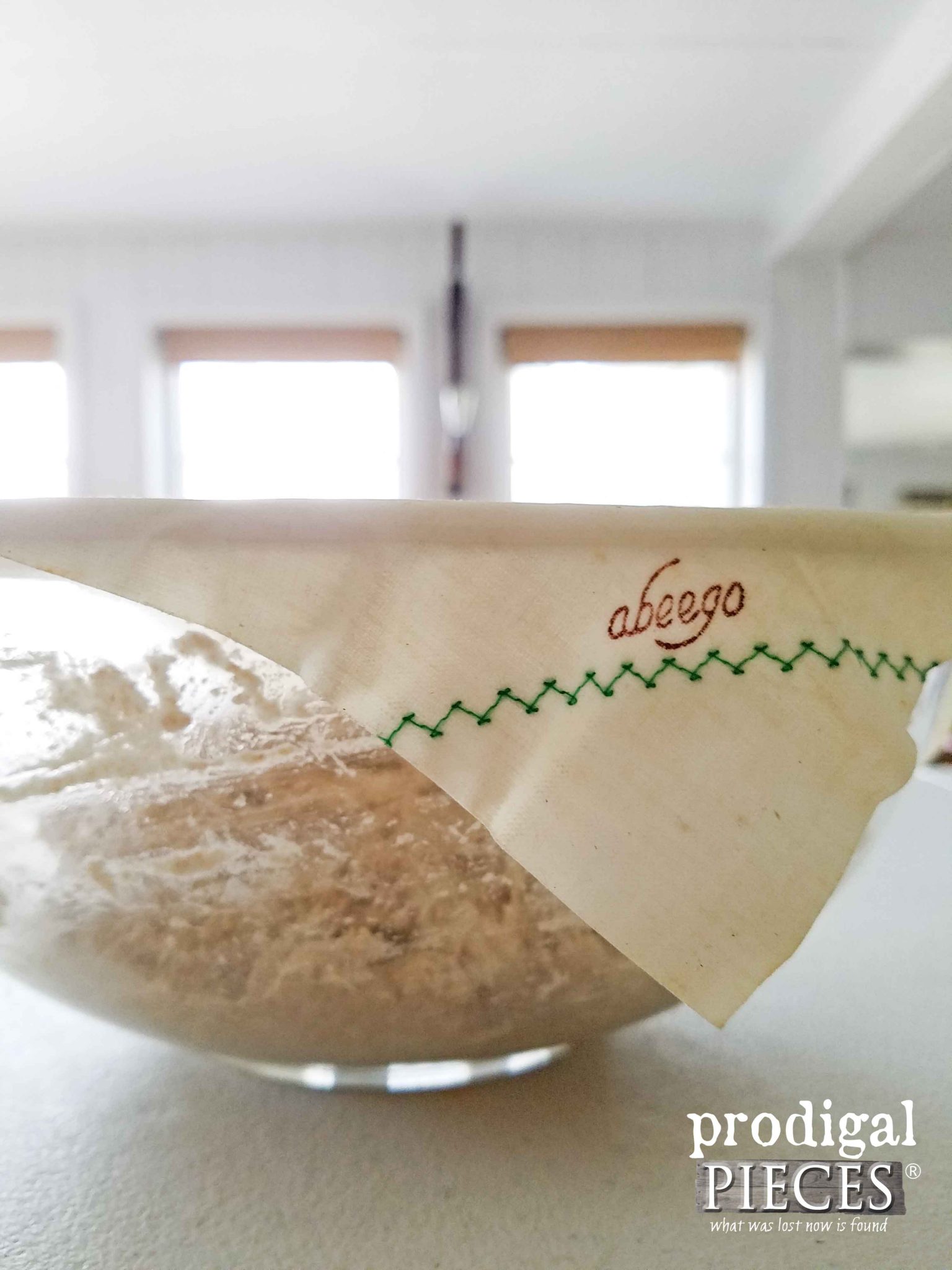 Abeego Natural Food Wrap Bowl Cover | Prodigal Pieces | prodiaglpieces.com