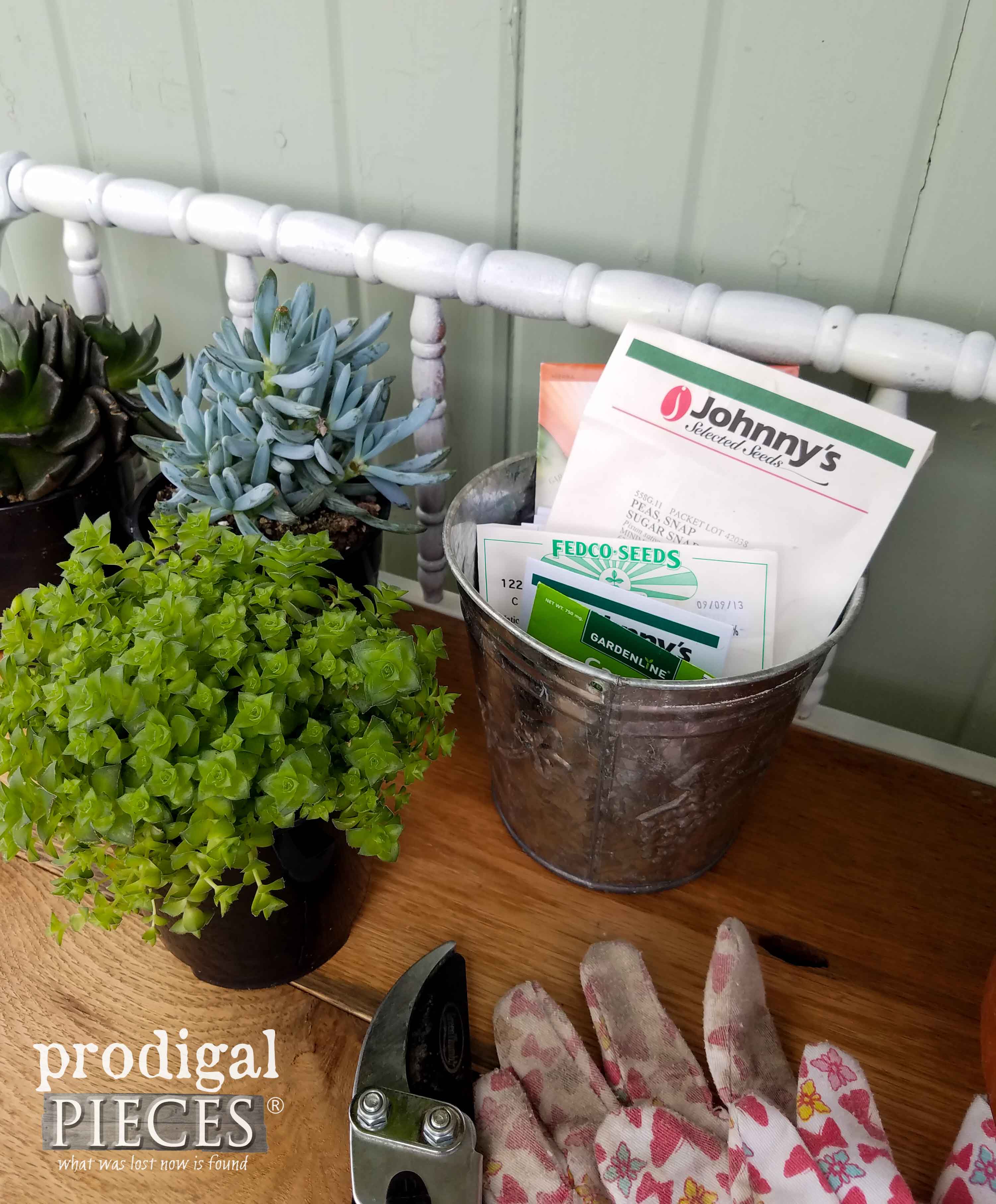 Planting seeds and succulents by Prodigal Pieces | prodigalpieces.com