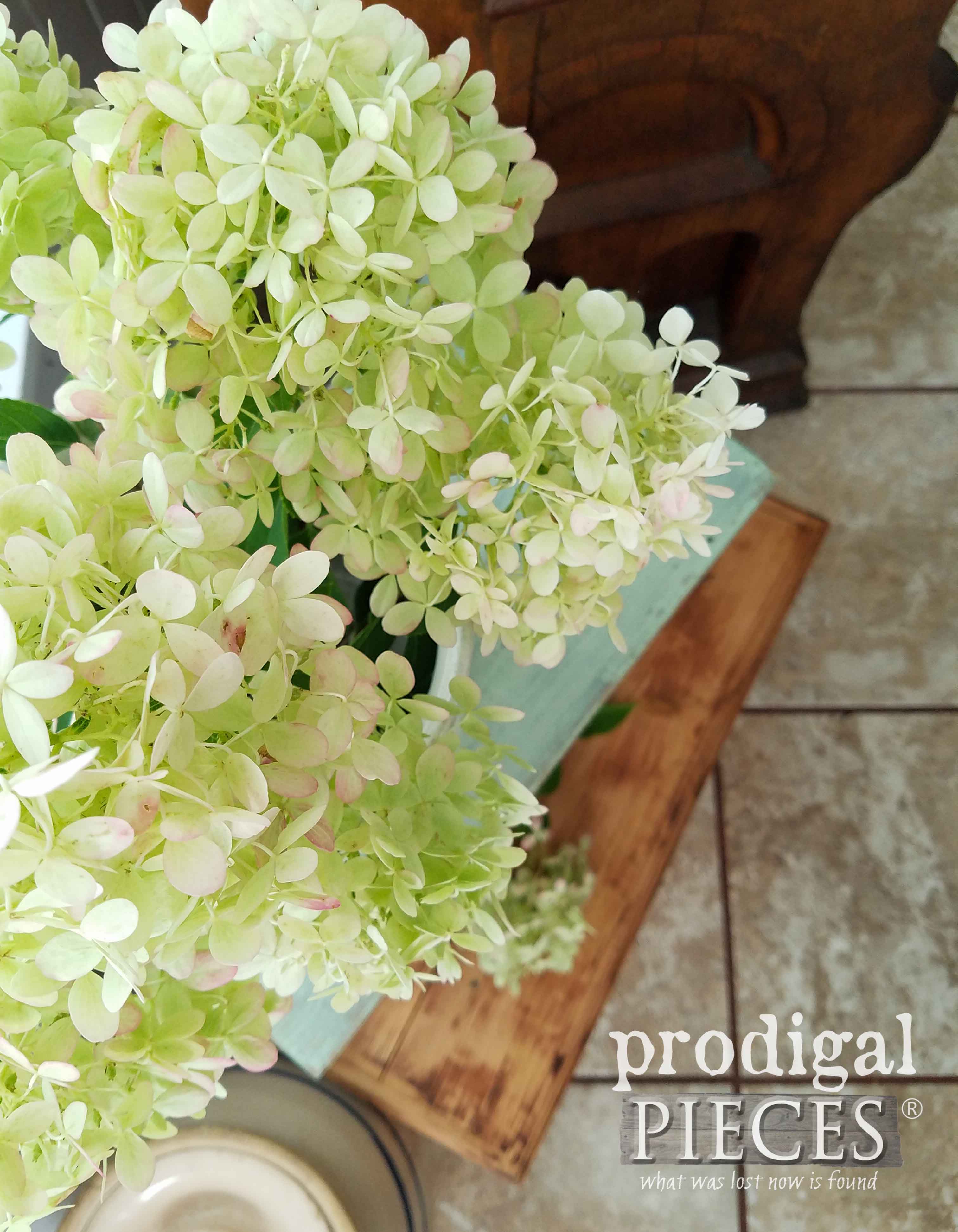 Limelight Hydrangea Display for Thrifted Makeovers at Prodigal Pieces | prodigalpieces.com