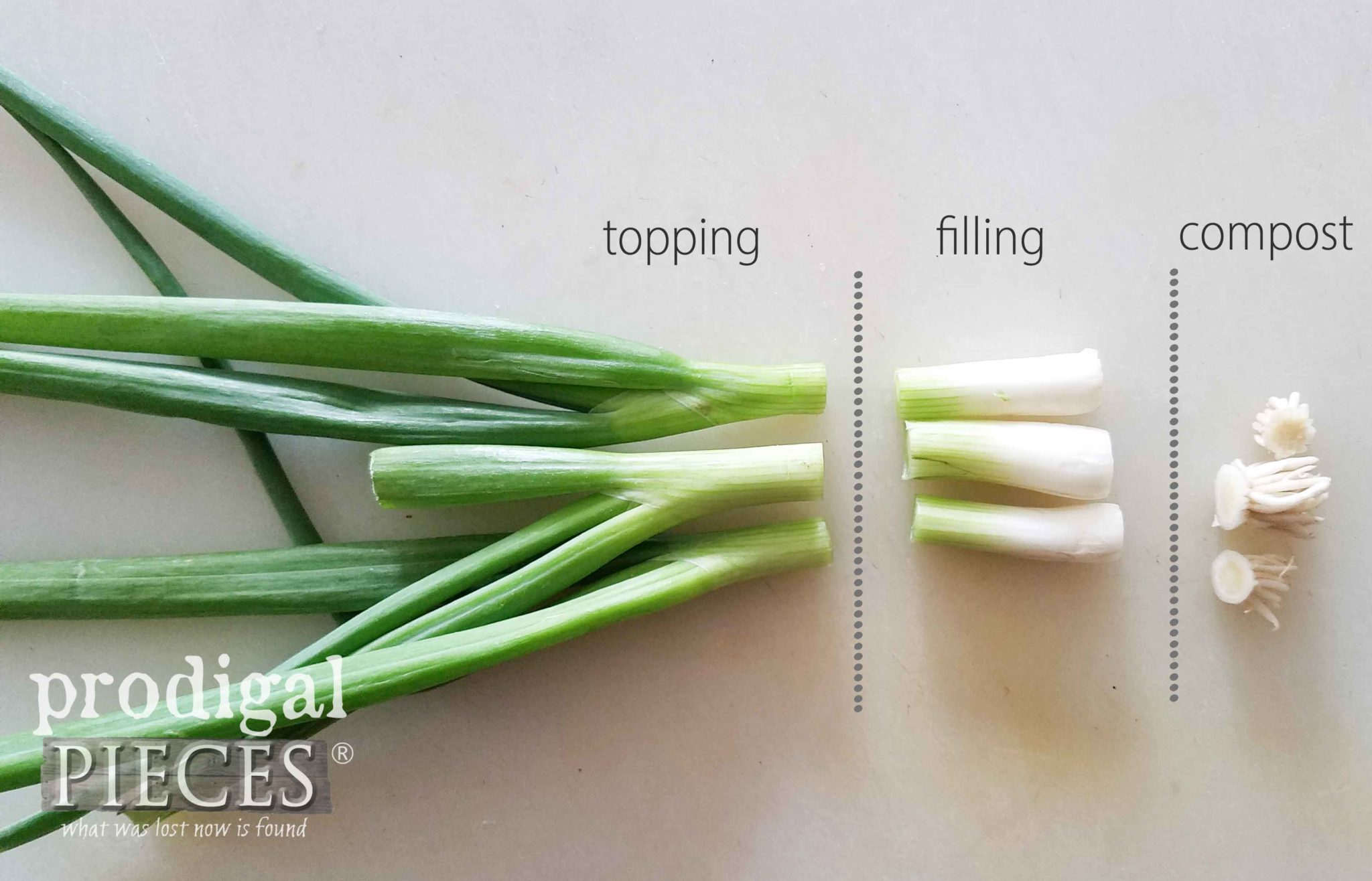 Cutting Green Onion for Less Waste | prodigalpieces.com