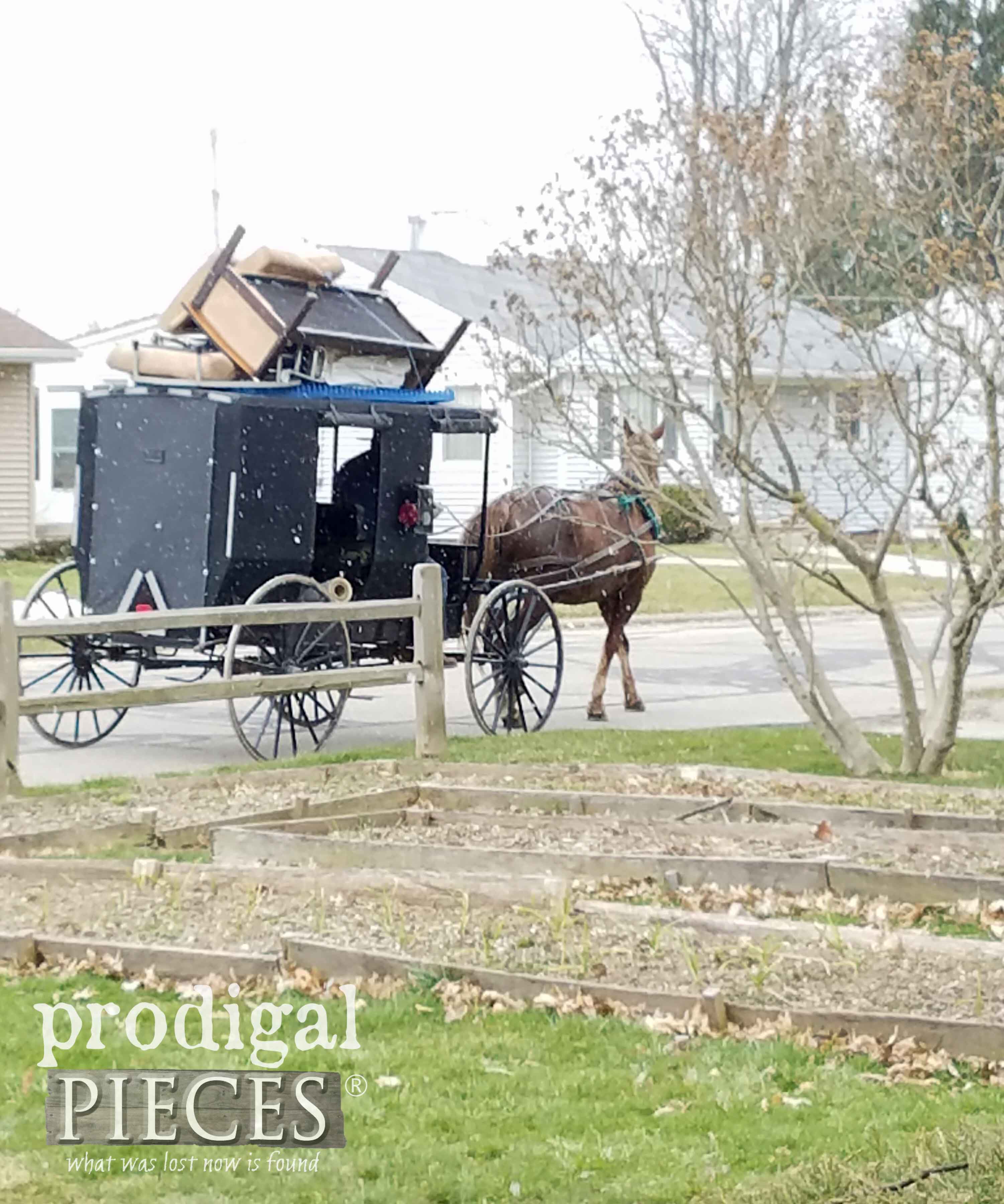 Amish Buggy with Amish Pickers during Our City Spring Cleanup | prodigalpieces.com