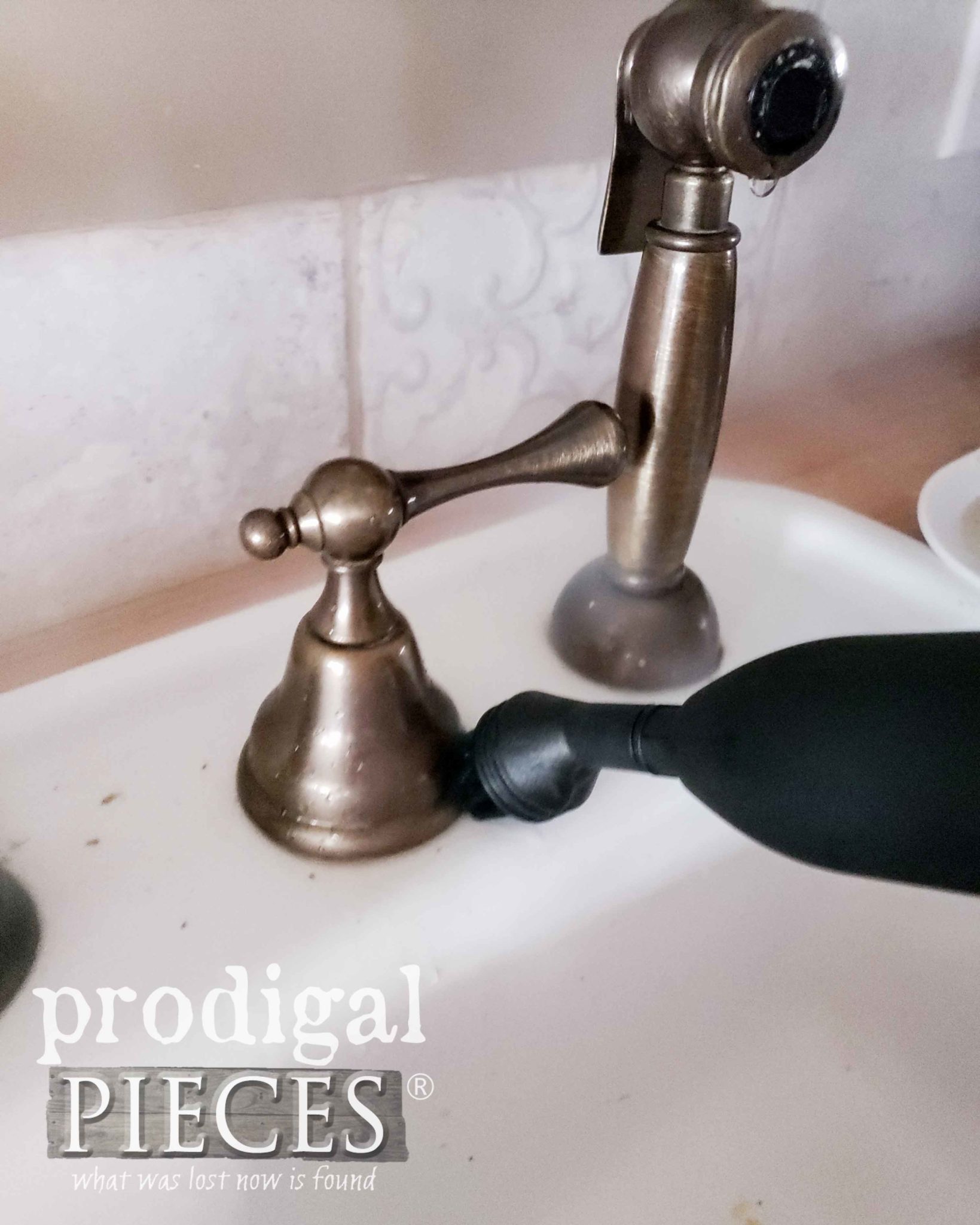 Chemical-Free Steam Cleaning Kitchen Faucet | prodigalpieces.com