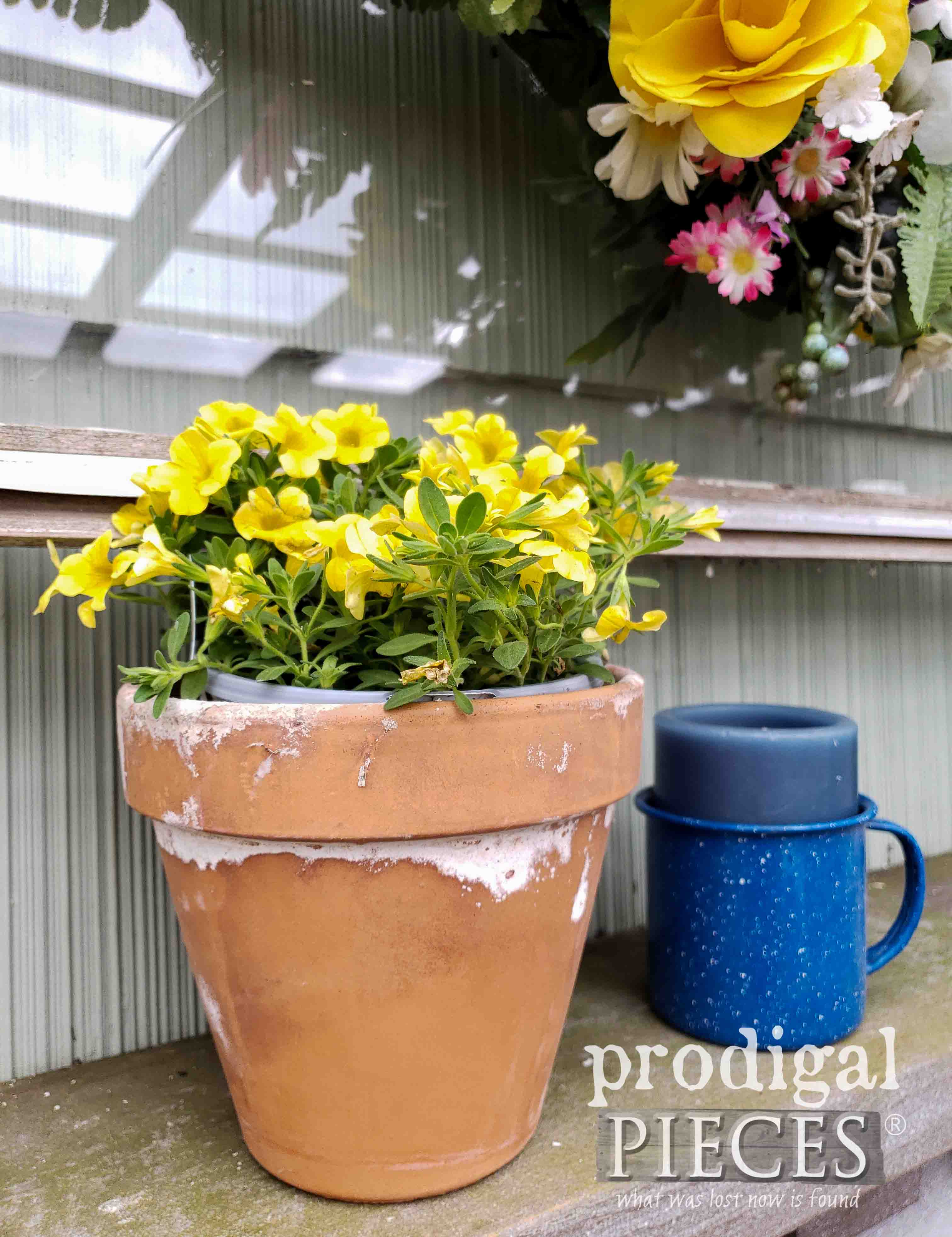 Yellow Flowers in Terra Cotta Pot by Prodigal Pieces | prodigalpieces.com #prodigalpieces #garden #flowers #spring #mothersday