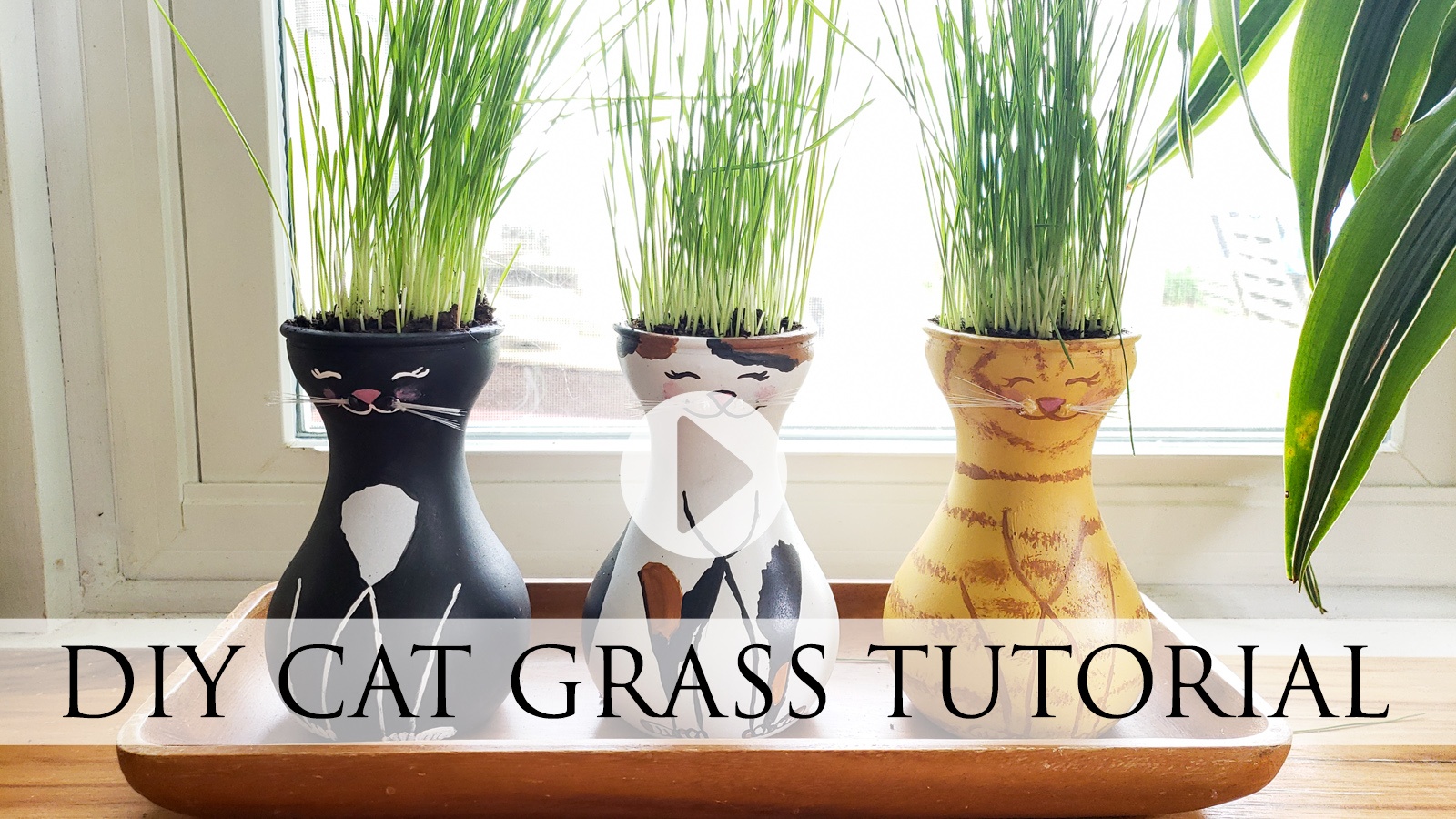 Easy & Fun DIY Cat Grass Tutorial Video by Larissa of Proidgal Pieces | prodigalpieces.com #prodigalpieces