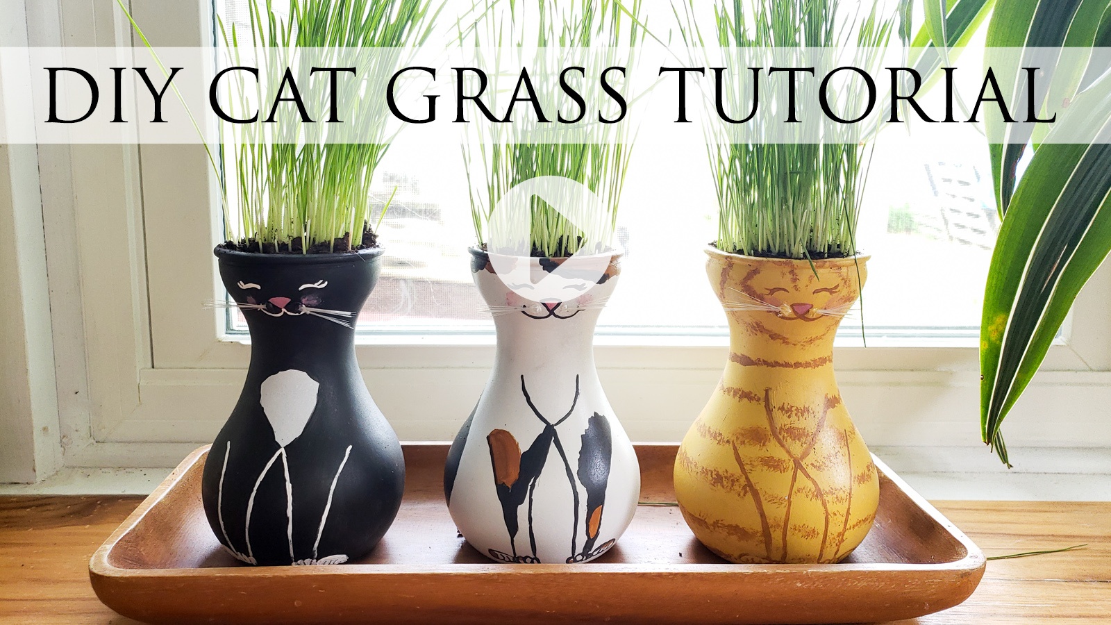 DIY Cat Grass Tutorial Header by Larissa of Prodigal Pieces | prodigalpieces.com #prodigalpieces