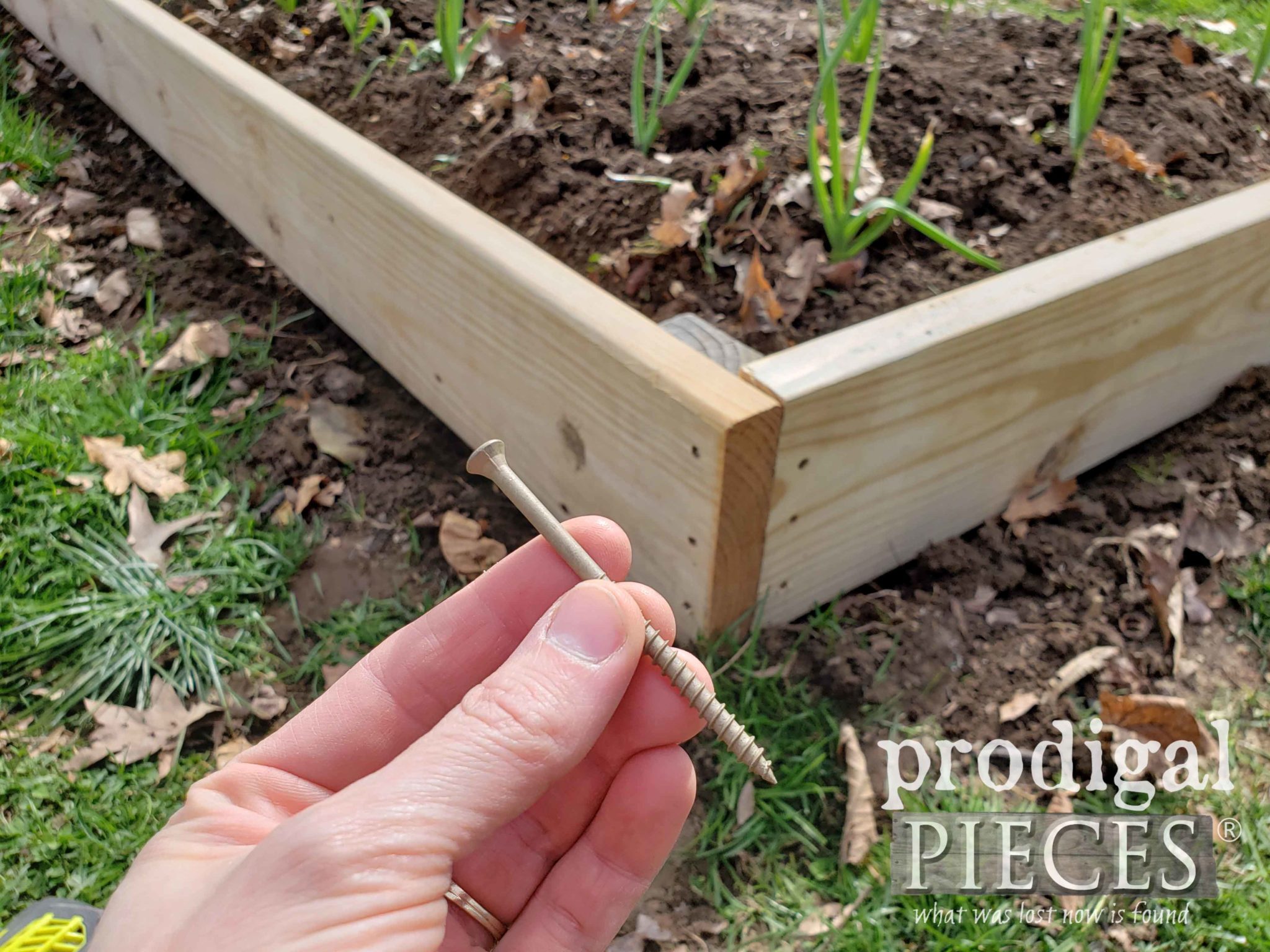 3" Decking Screw to Build DIY Raised Garden Bed | prodigalpieces.com
