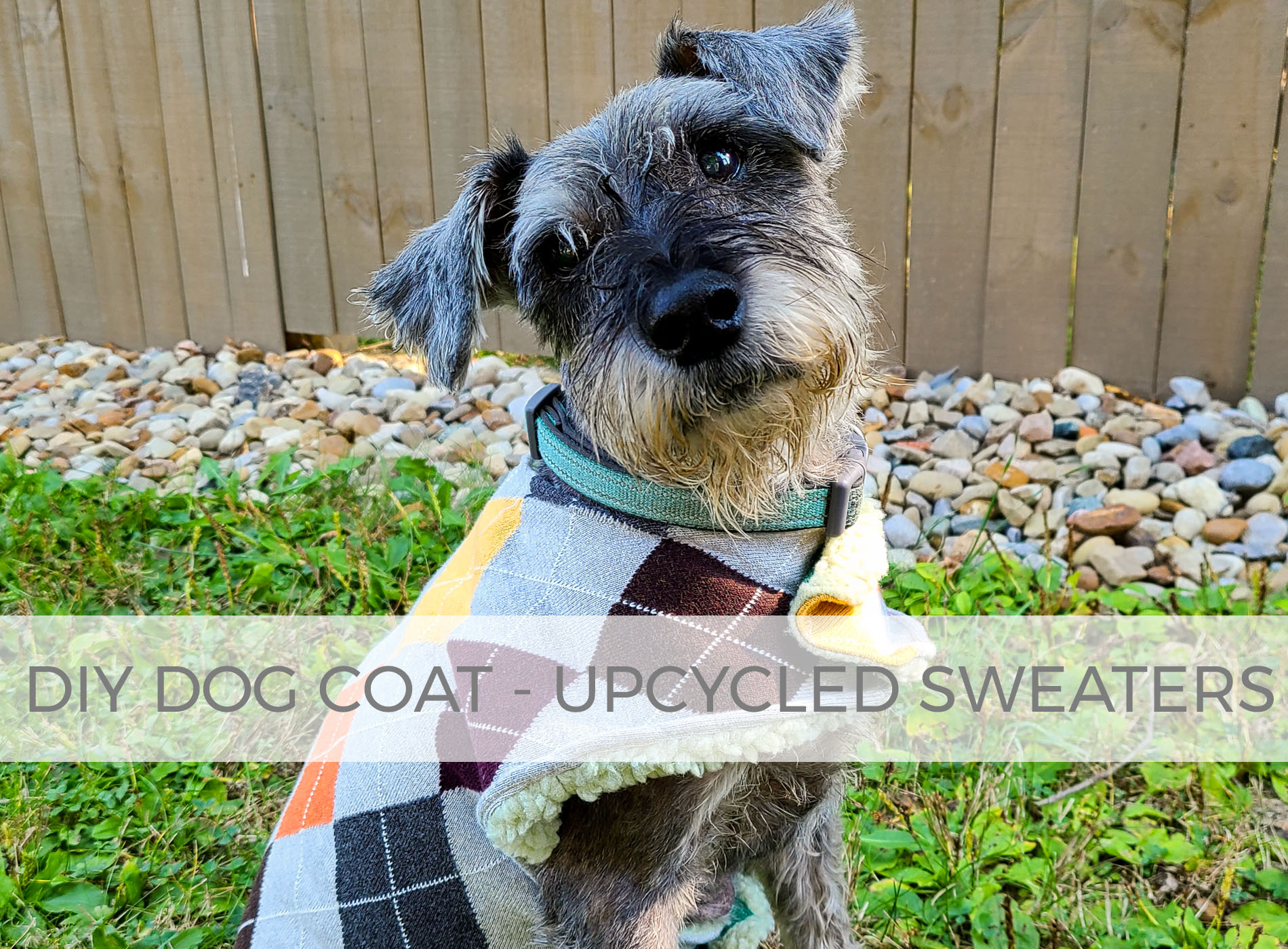 DIY Dog Coat Tutorial from Upcycled Sweaters by Larissa of Prodigal Pieces | prodigalpieces.com #prodigalpieces #diy #sewing #dog #pets