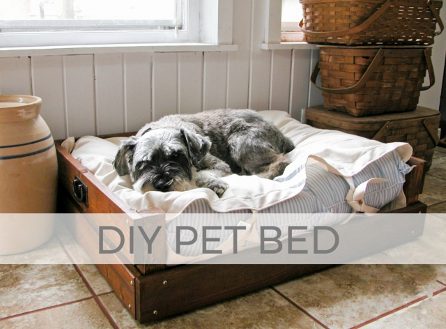 DIY Pet Bed for Dogs and Cats | Free Build Plans by Larissa of Prodigal Pieces | prodigalpieces.com #prodigalpieces