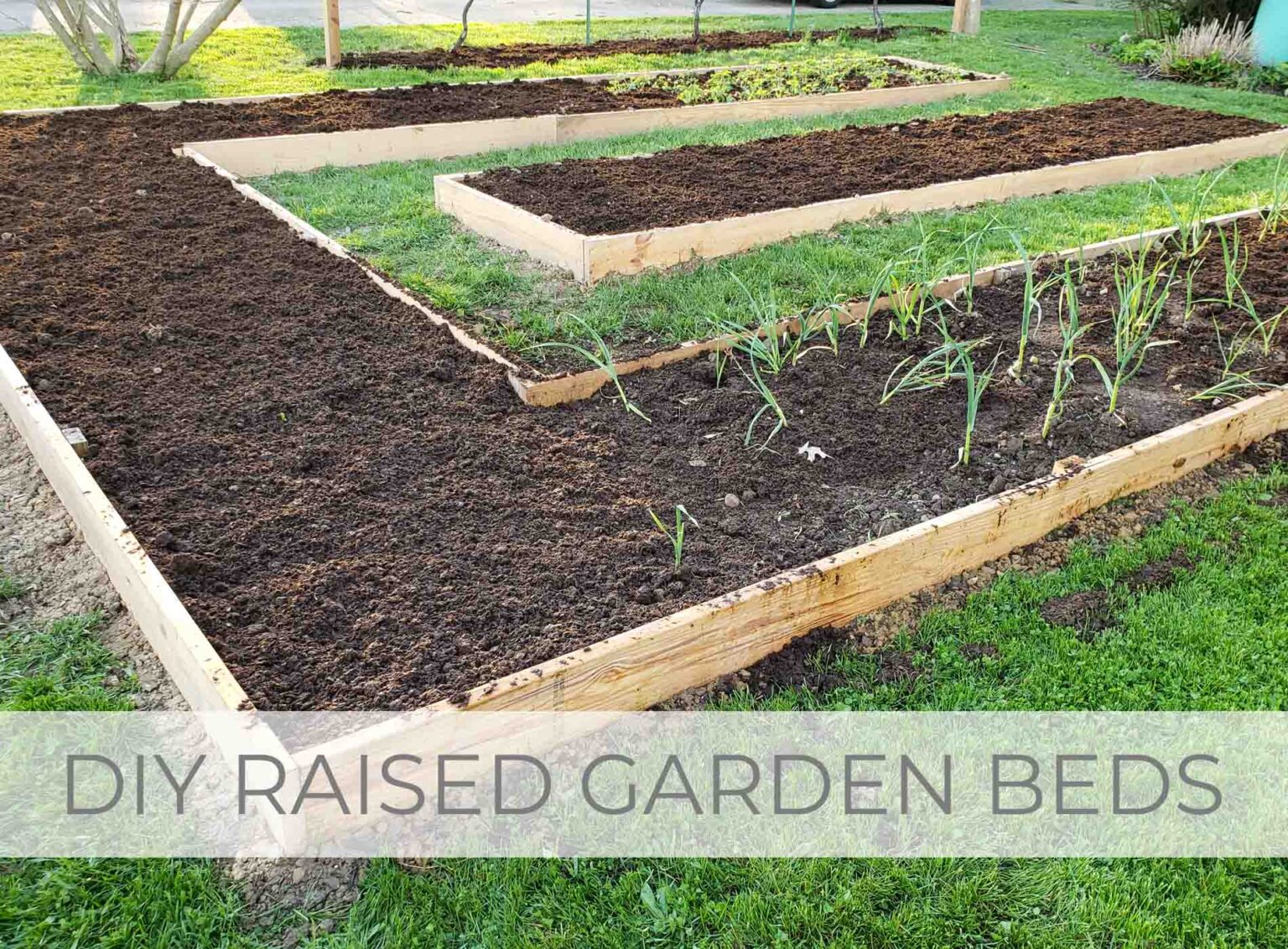 DIY Raised Garden Beds with FREE build plans by Livin' Real with Larissa | livinrealwithlarissa.com