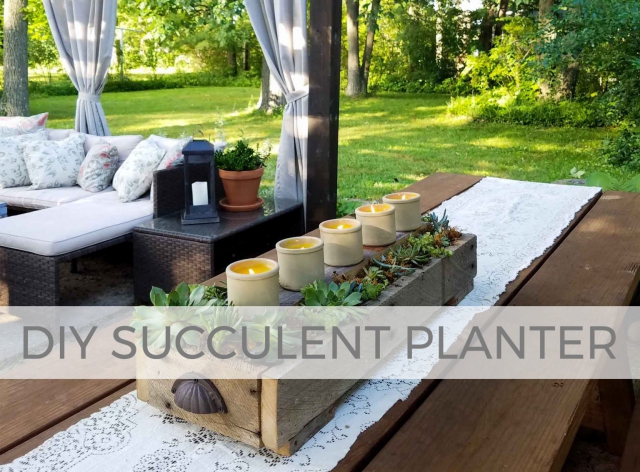 Build this DIY succulent planters with plans by Larissa of Prodigal Pieces | prodigalpieces.com #prodigalpieces