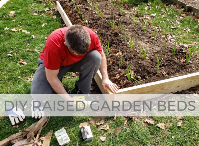 Build your own DIY raised garden beds with Prodigal Pieces | prodigalpieces.com #prodigalpieces