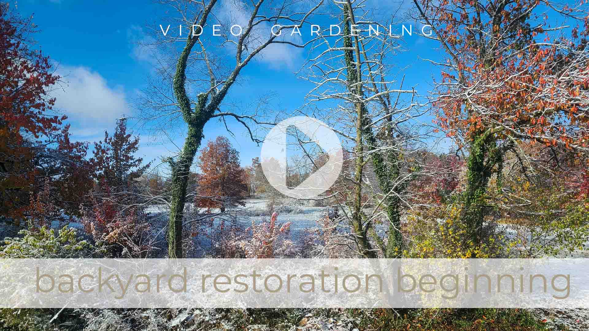 Video Vlog of Backyard Renovation Begins by Livin' Real with Larissa | livinrealwithlarissa.com #livinrealwithlarissa Video Vlog of Backyard Renovation Begins by Livin' Real with Larissa | livinrealwithlarissa.com #livinrealwithlarissa