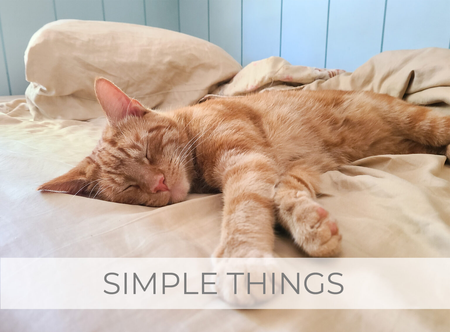 Showcase Simple Things ~ How They Can Get Lost in Healing. by Livin' Real with Larissa | livinrealwithlarissa.com #livinrealwithlarissa