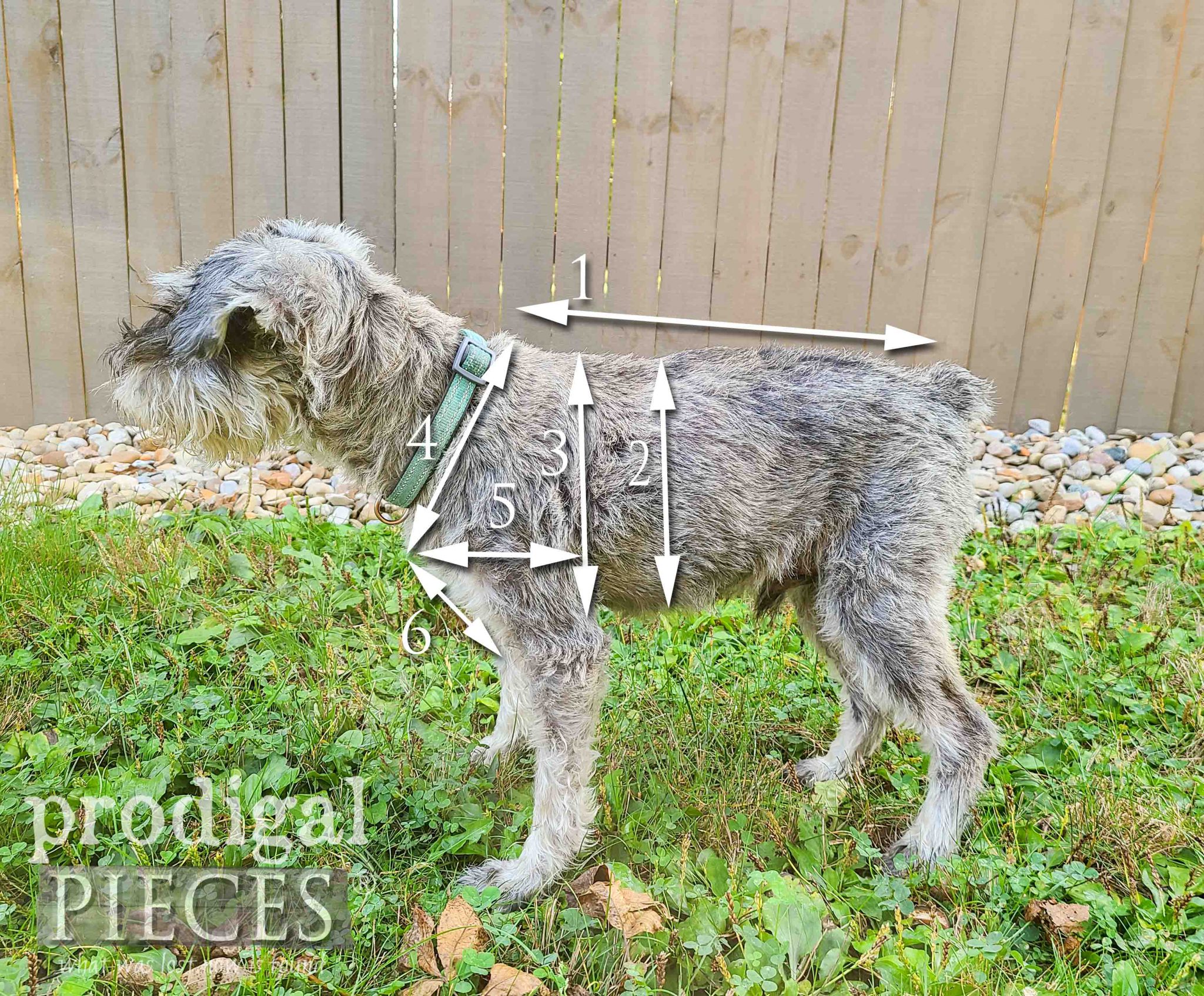 DIY Dog Coat from Upcycled Sweaters - Prodigal Pieces
