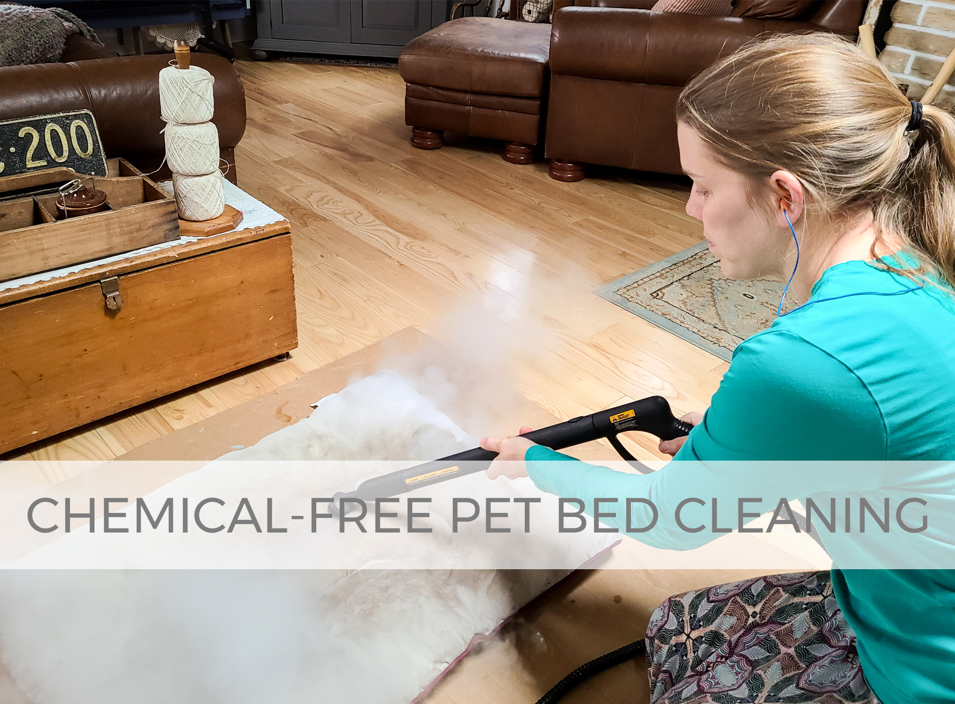 Pet Bed Cleaning by Larissa of Prodigal Pieces | prodigalpieces.com #prodigalpieces