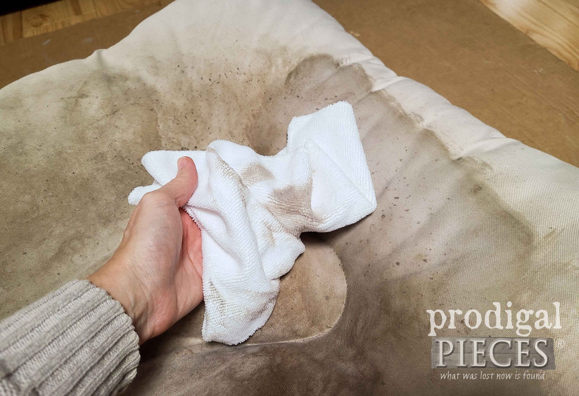 Wiping Pet Bed After Steam Cleaning | prodigalpieces.com
