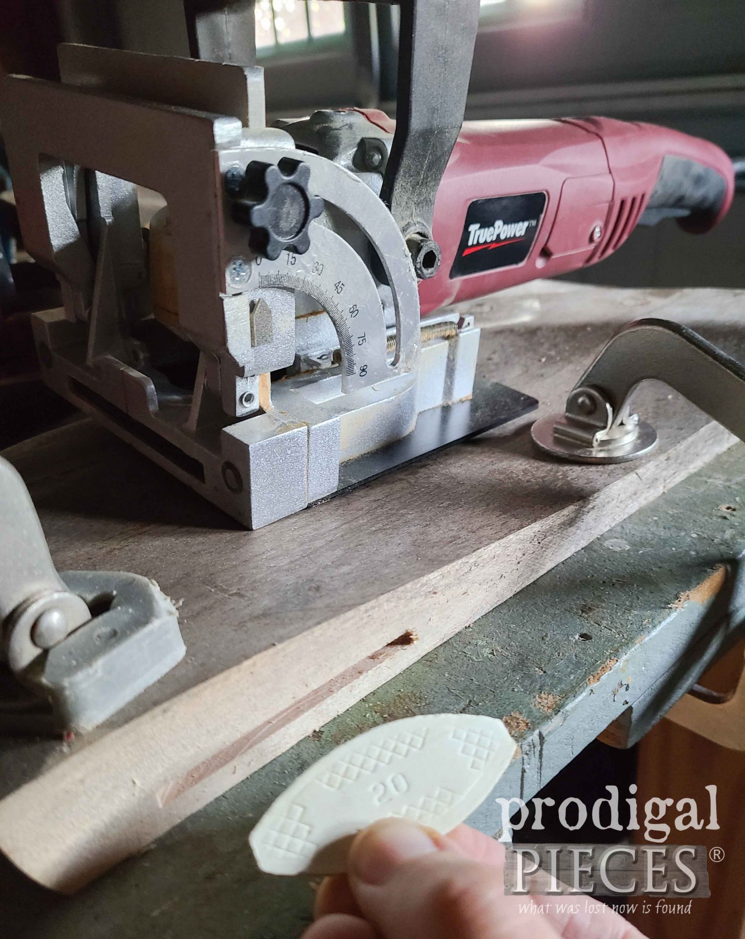 Biscuit Joiner with Biscuits for Seat Assembly | prodigalpieces.com