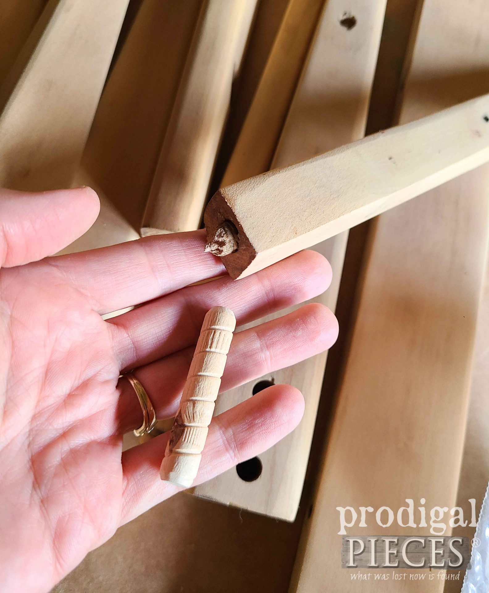 Replacement Wood Dowel Plug for Mid Century Modern Bench | prodigalpieces.com
