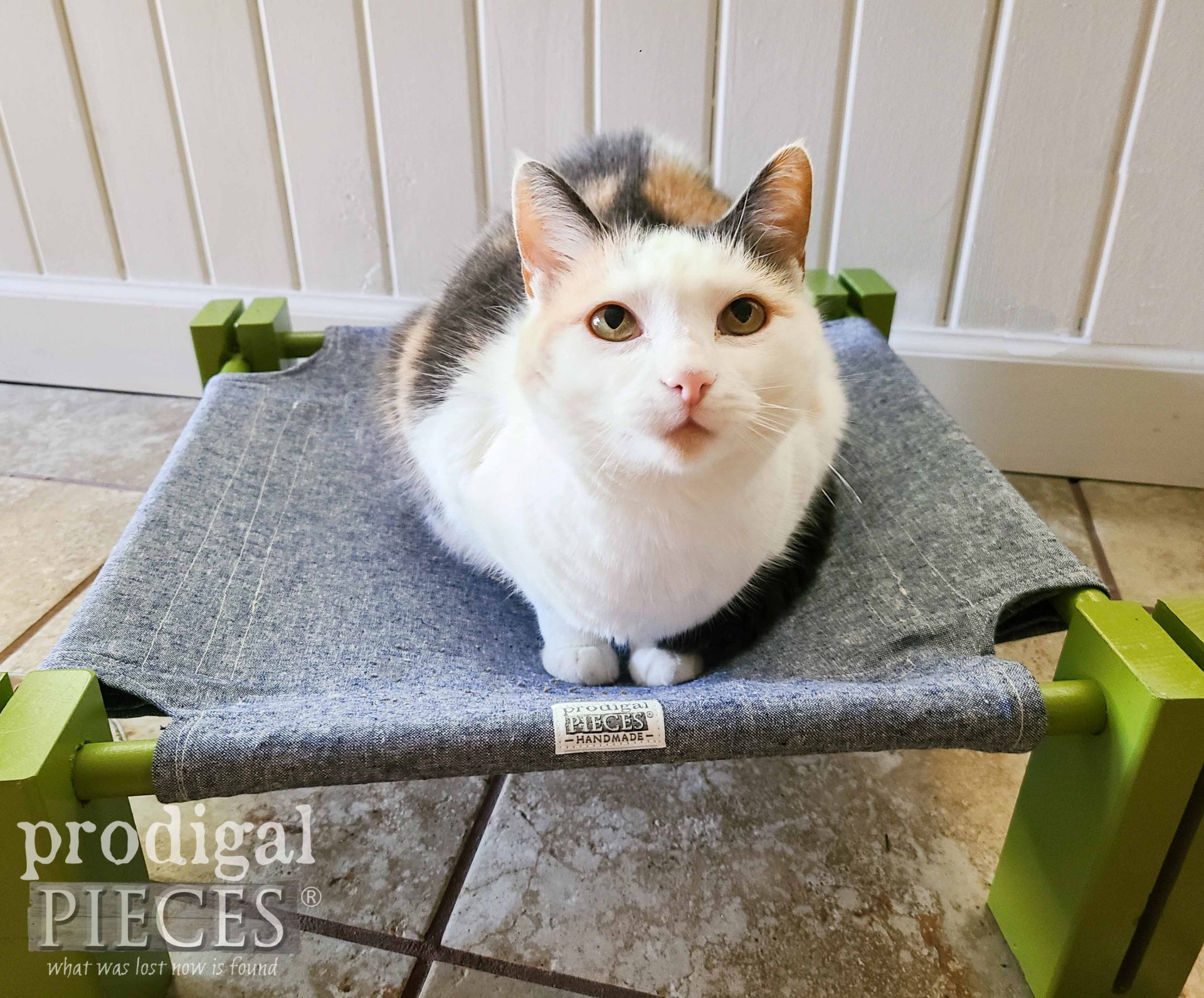 Adorably Cute Calico Cat on DIY Cat Bed Hammock by Larissa of Prodigal Pieces | prodigalpieces #prodigalpieces #calico #cat #diy #giftideas