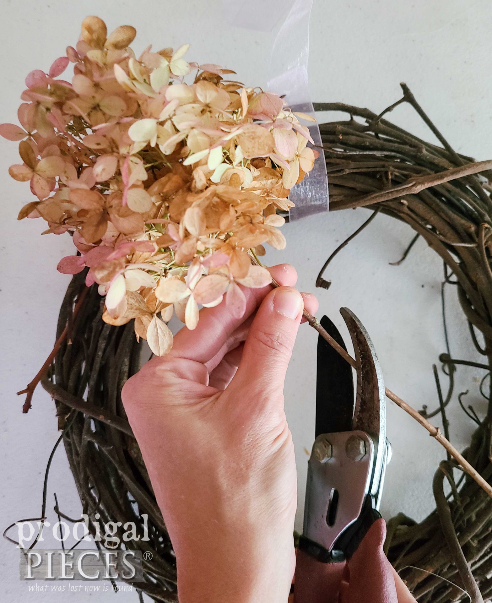 Clipping Limelight Hydrangeas for Wreath | prodigalpieces.com #prodigalpieces