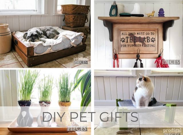 8 DIY Pet Gifts to Create for your Furry Familiy by Larissa of Prodigal Pieces | prodigalpieces.com #prodigalpieces