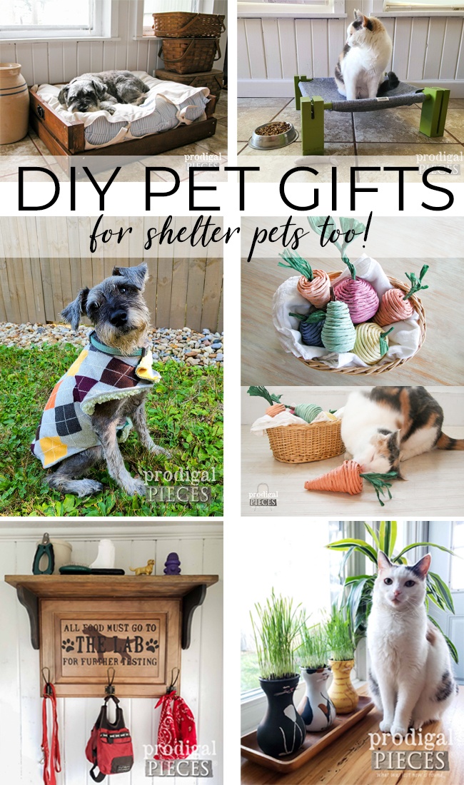 Create your own DIY pet gifts for your own fur babies and shelter pets too | See the details at Prodigal Pieces | prodigalpieces.com #prodigalpieces #diy #christmas #pets #cats #dogs