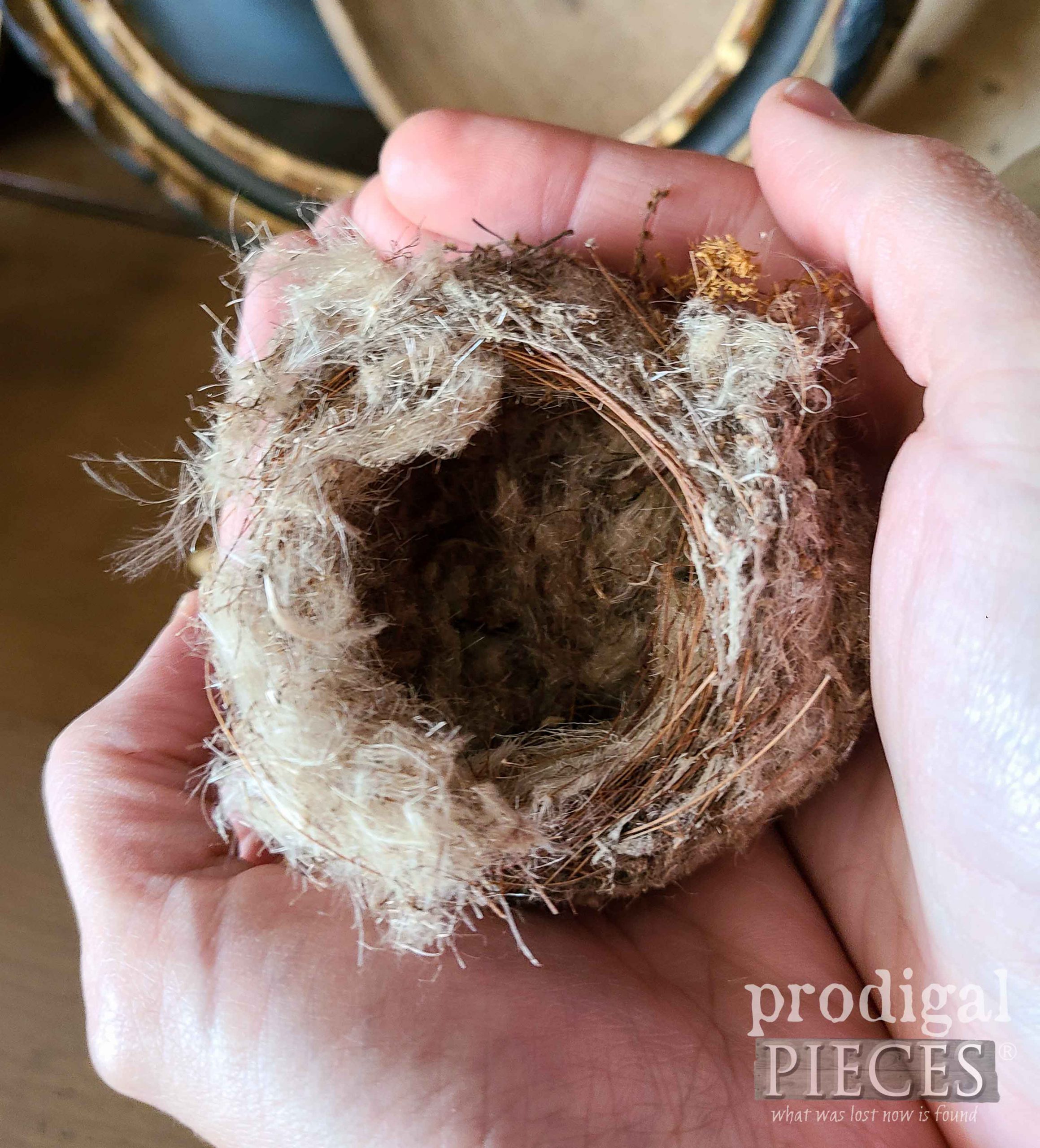 Empty Nest | from a Mama's Heart | prodigalpieces.com