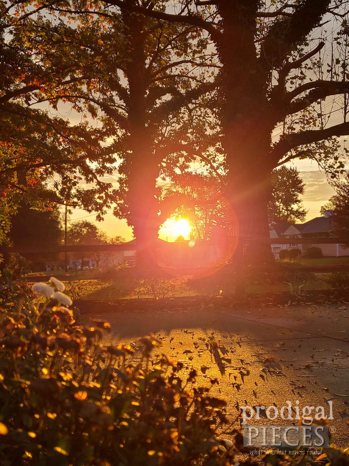 Fall Sunrise in Ohio | prodigalpieces.com #prodigalpieces
