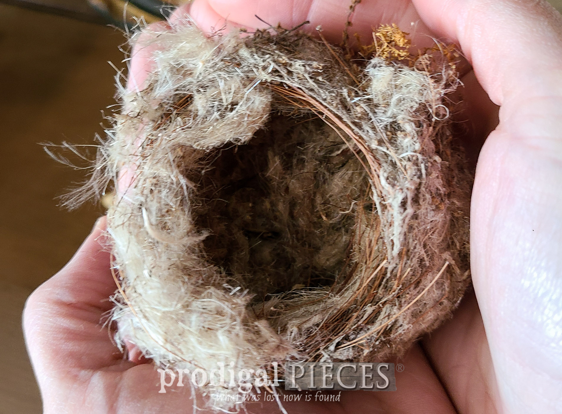 Featured Preparing for an Empty Nest | Parenting Advice Shared at Prodigal Pieces | prodigalpieces.com #prodigalpieces #family #parenting #faith