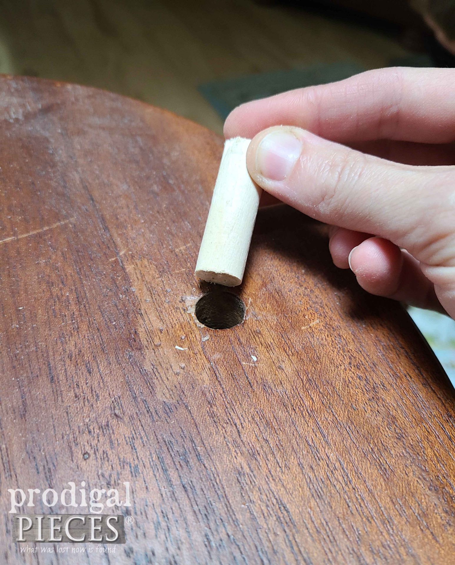 Dowel Pin Filler for Table Top | prodigalpieces.com