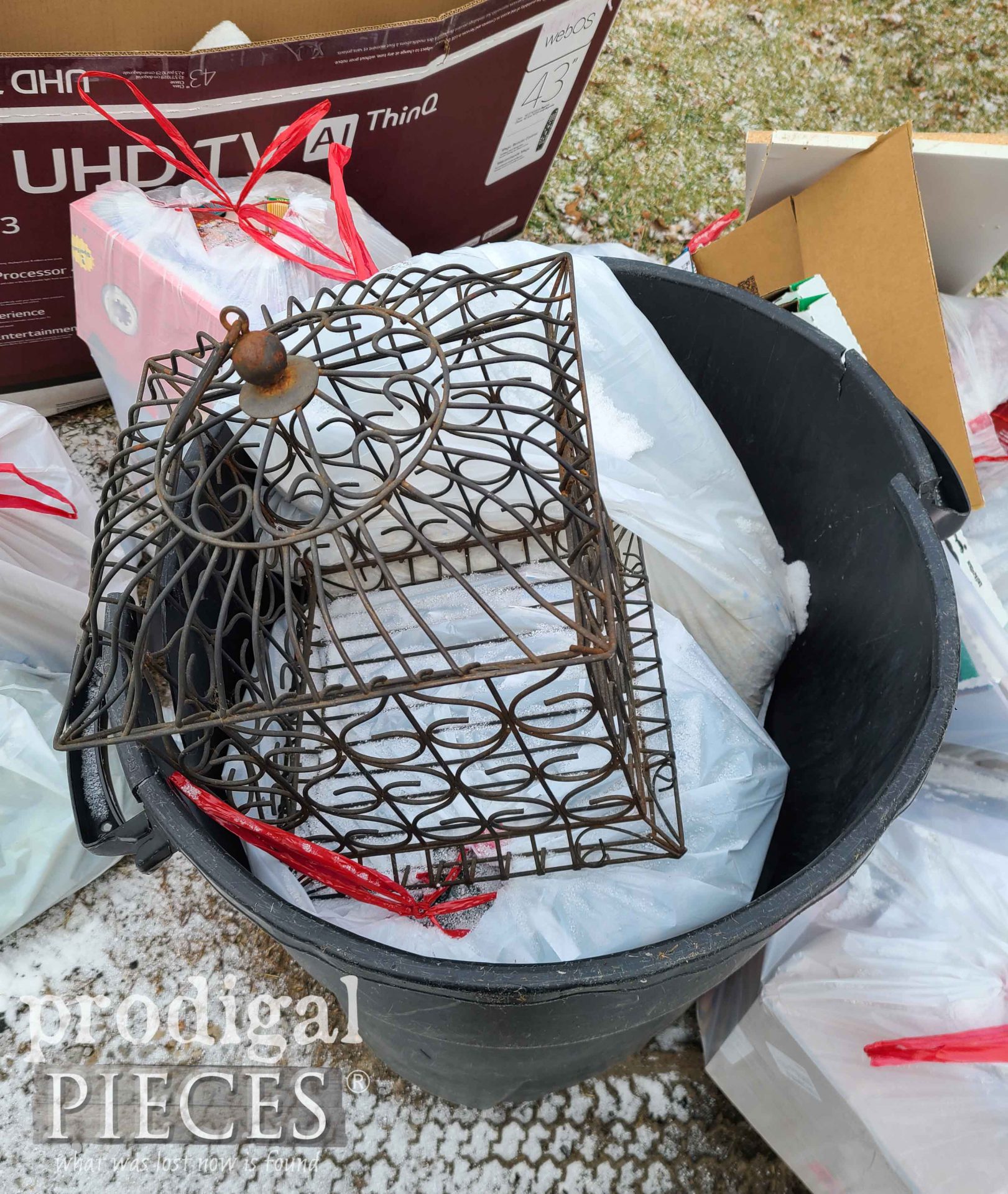 Vintage Bird Cage in Trash | prodigalpieces.com