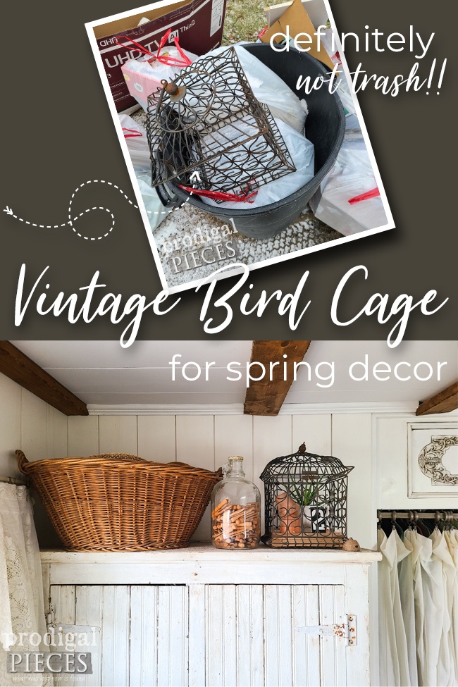 A vintage bird cage found in the trash makes for wonderful story-telling decor | by Larissa of Prodigal Pieces | prodigalpieces.com #prodigalpieces #vintage #diy #farmhouse