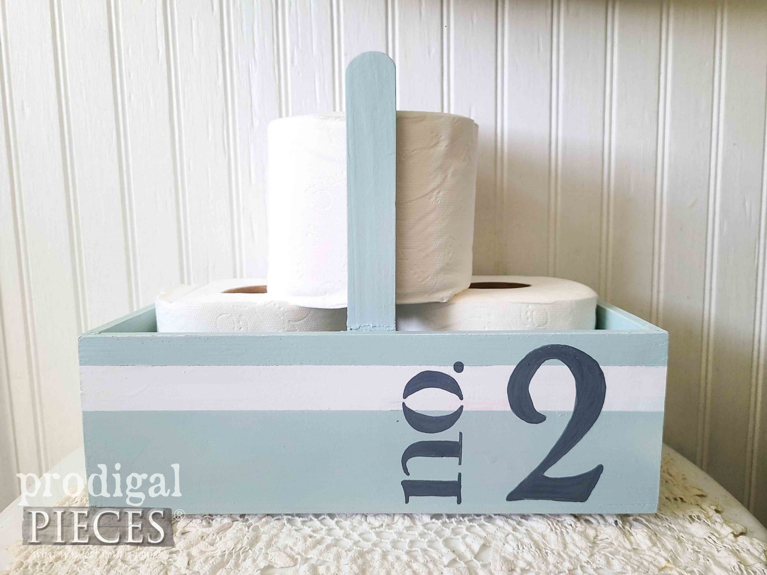 Bathroom No. 2 TP Tote by Larissa of Prodigal Pieces | prodigalpieces.com #prodigalpieces #bathroom #diy