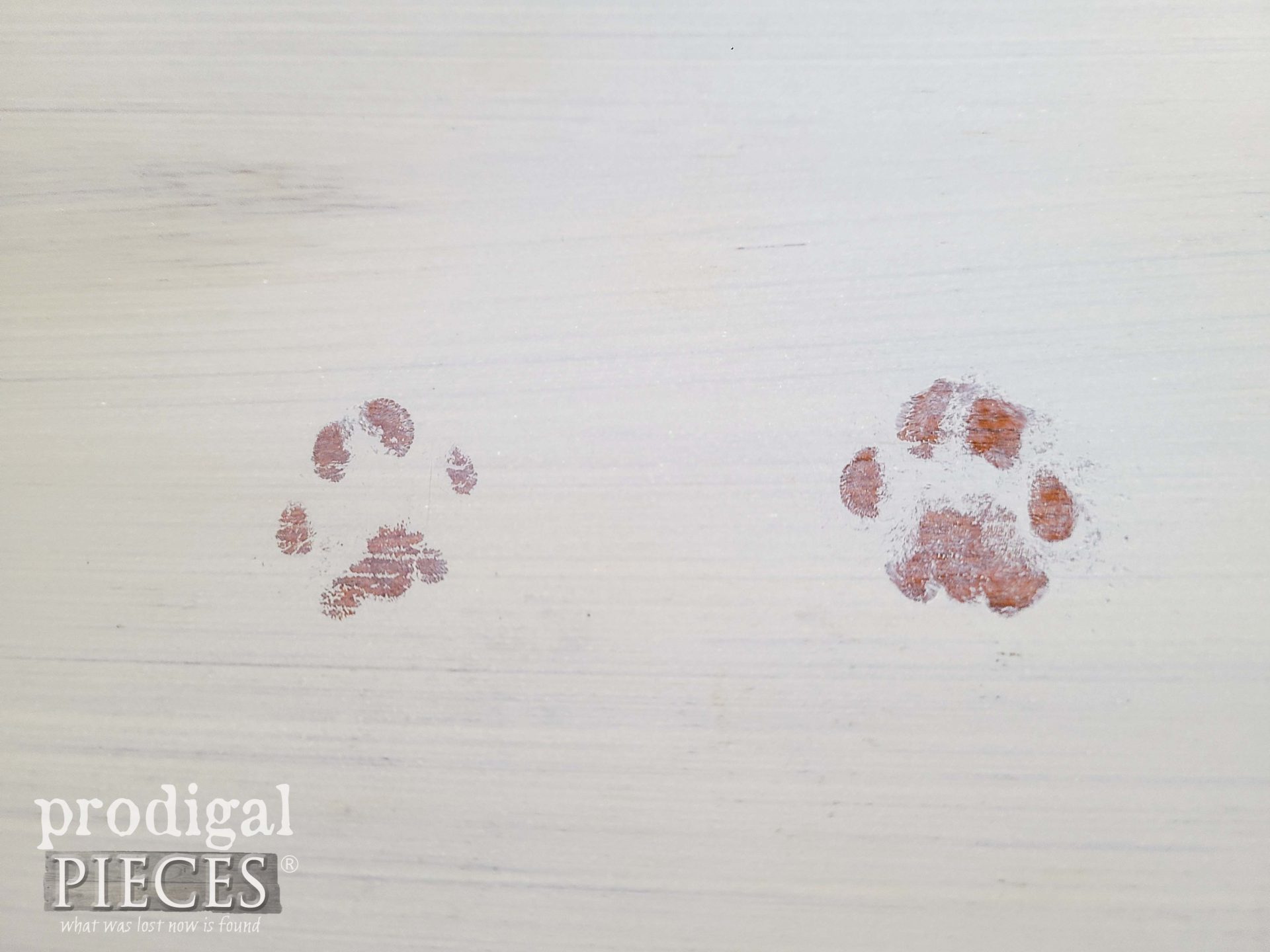 Cat Paw Prints on Painted Table | prodigalpieces.com