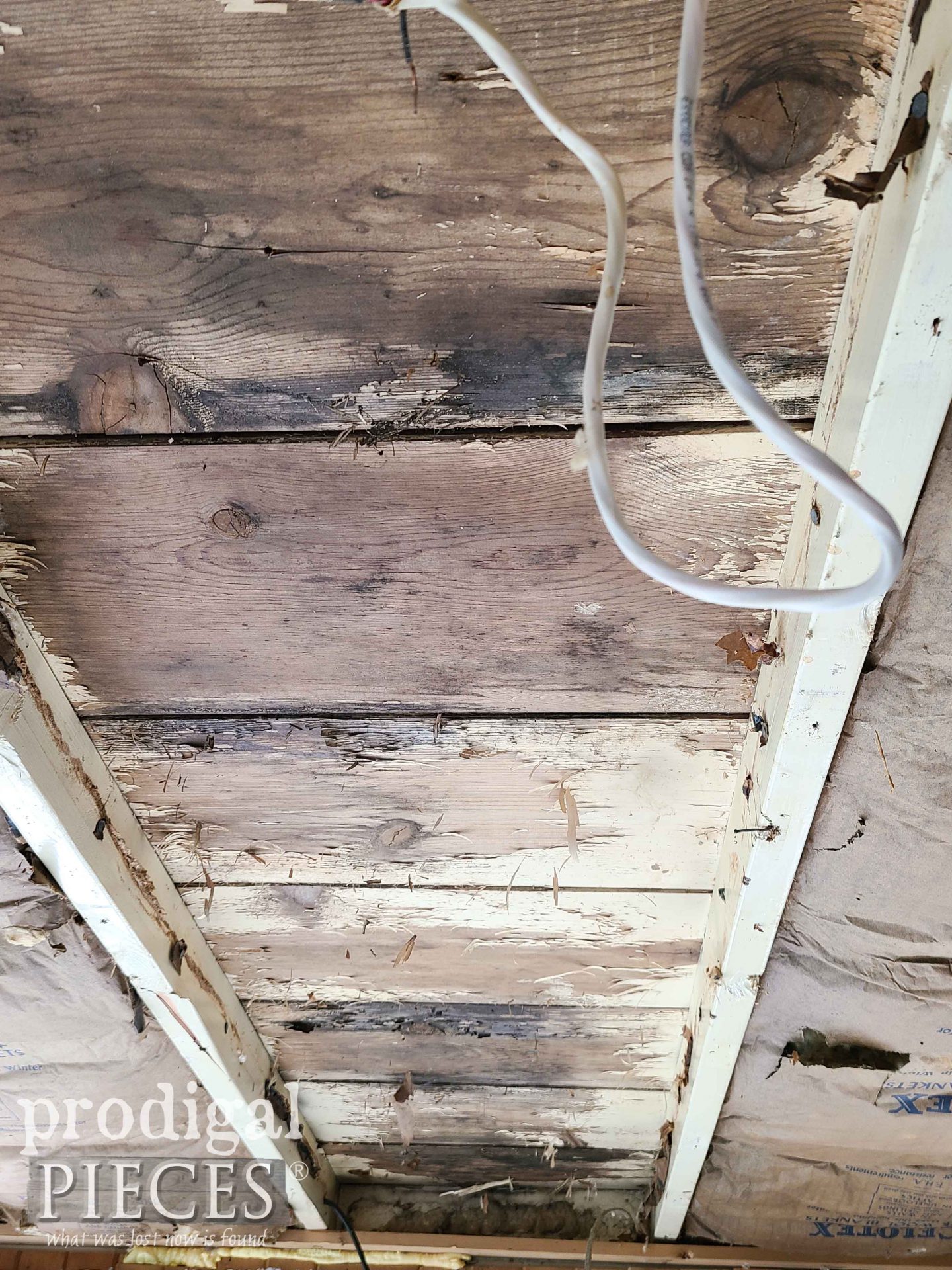 Plank Ceiling Under Insulation | prodigalpieces.com #prodigalpieces