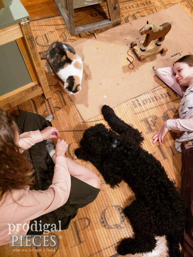 Cat and Goldendoodle Puppy Dog Family | prodigalpieces.com #prodigalpieces #dogfamily #doodle
